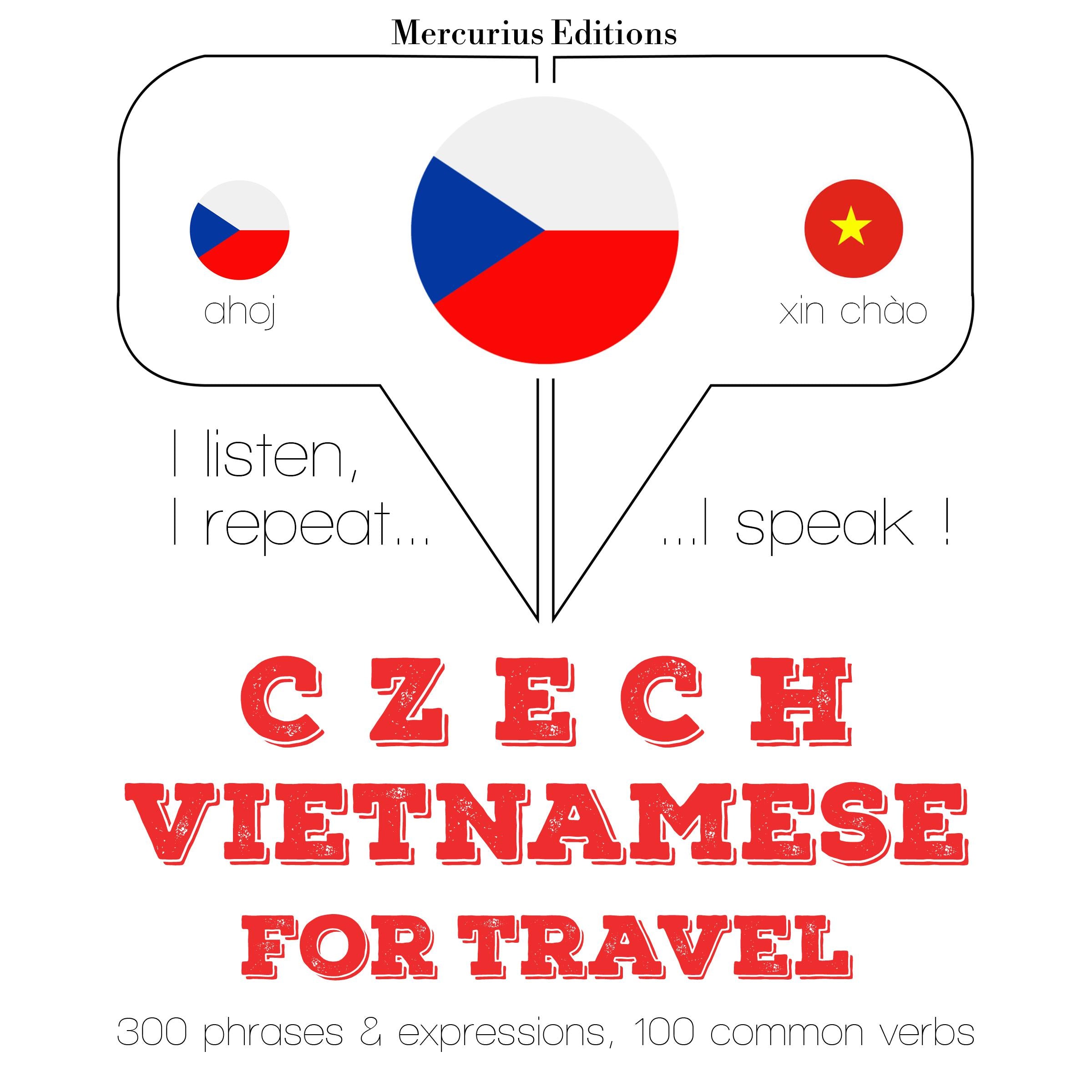 Česko - vietnamština: Pro cestování