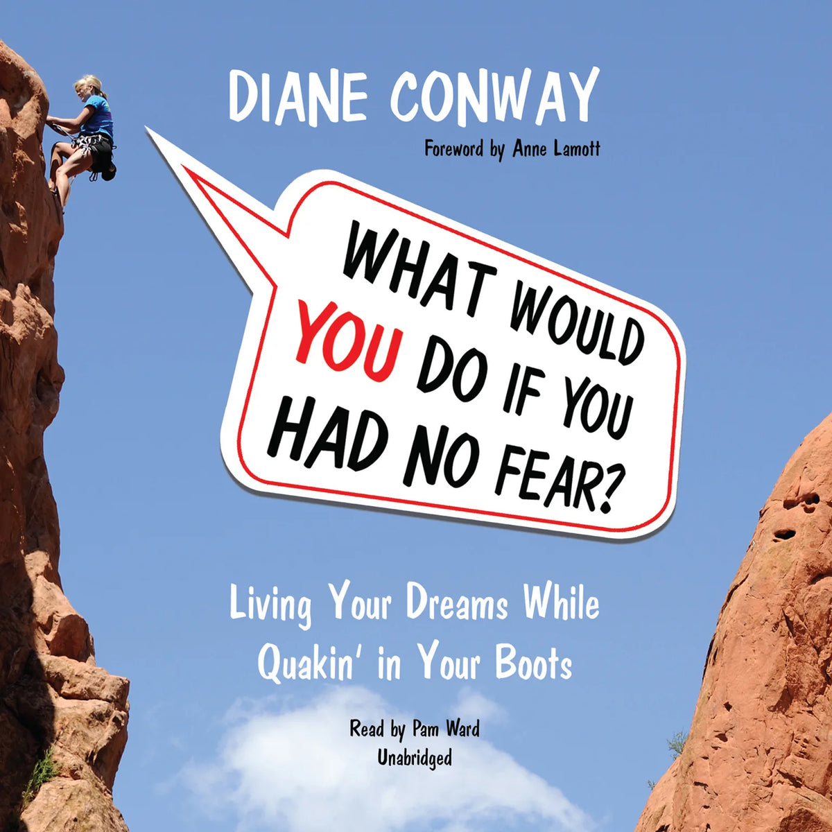 What Would You Do If You Had No Fear?