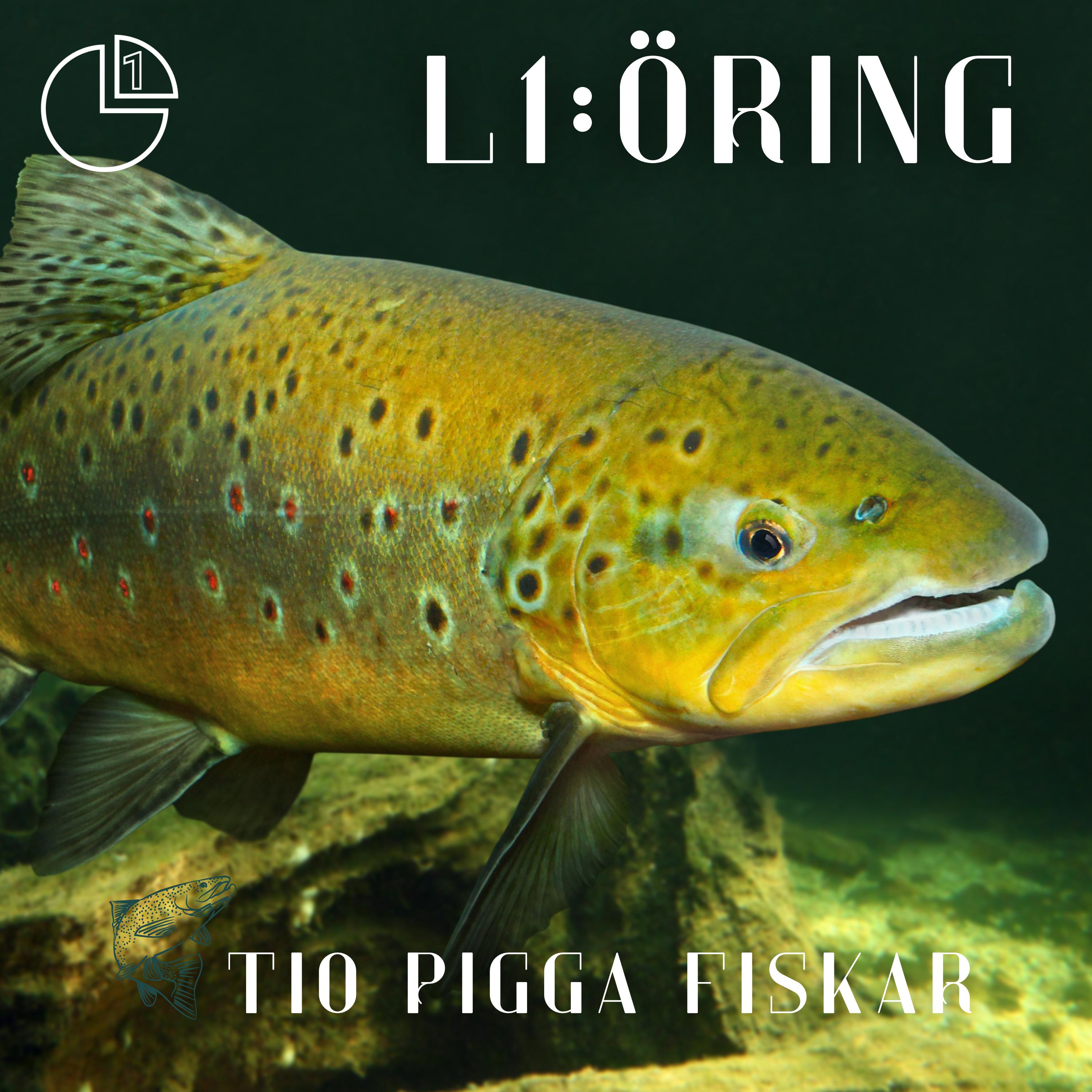 Öring