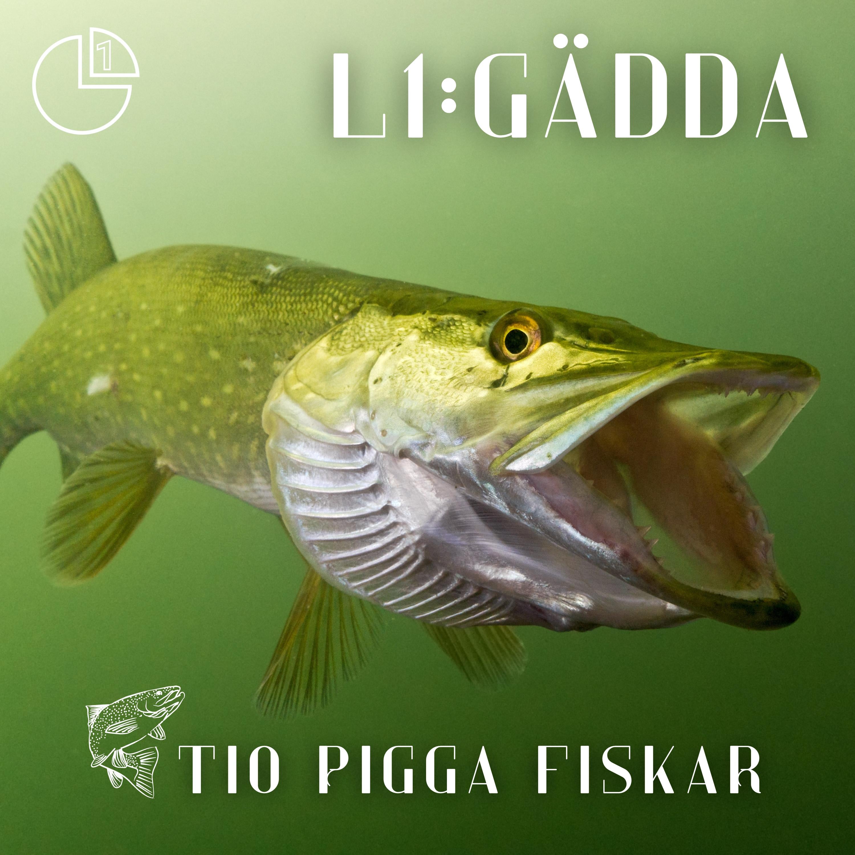 Gädda