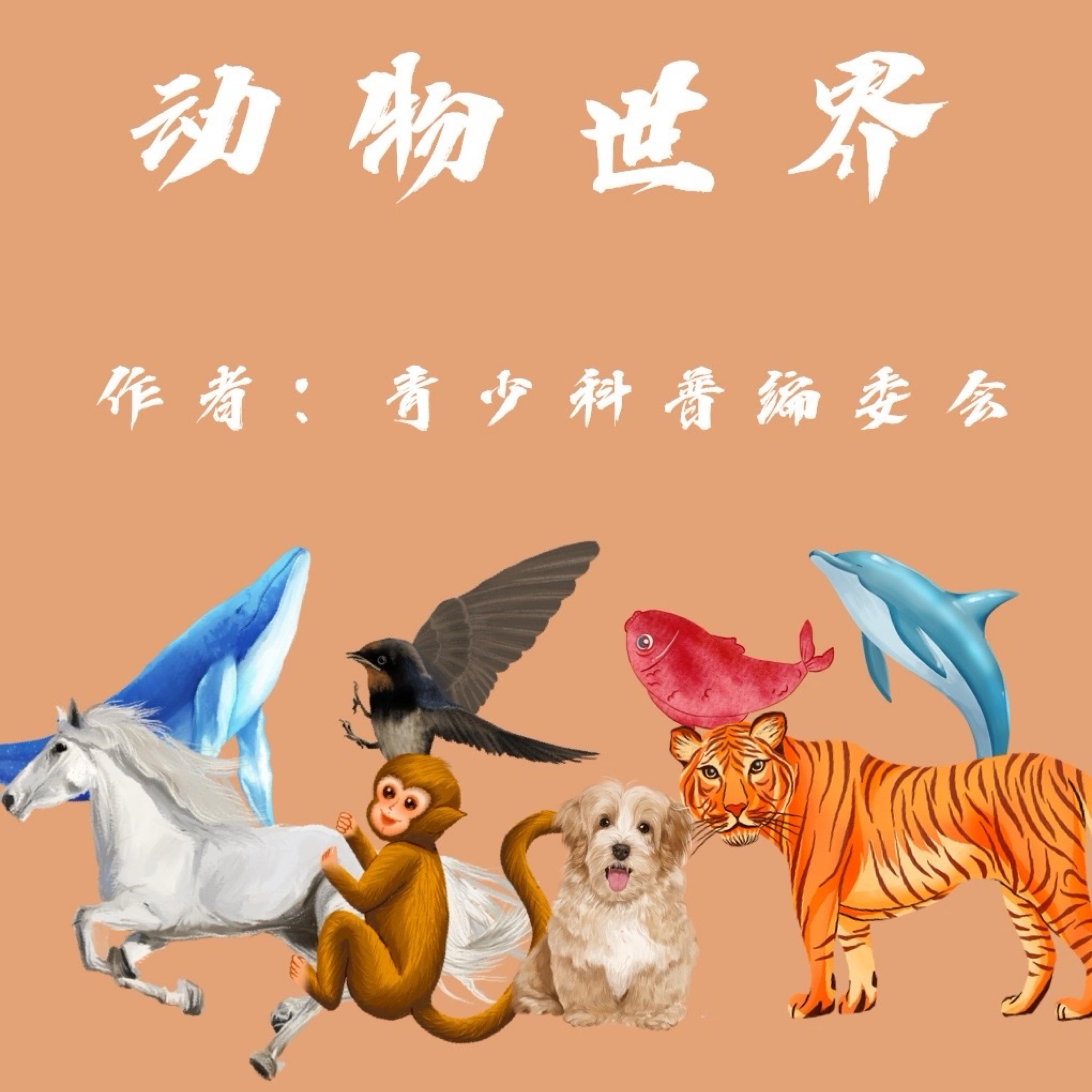 Animal World
