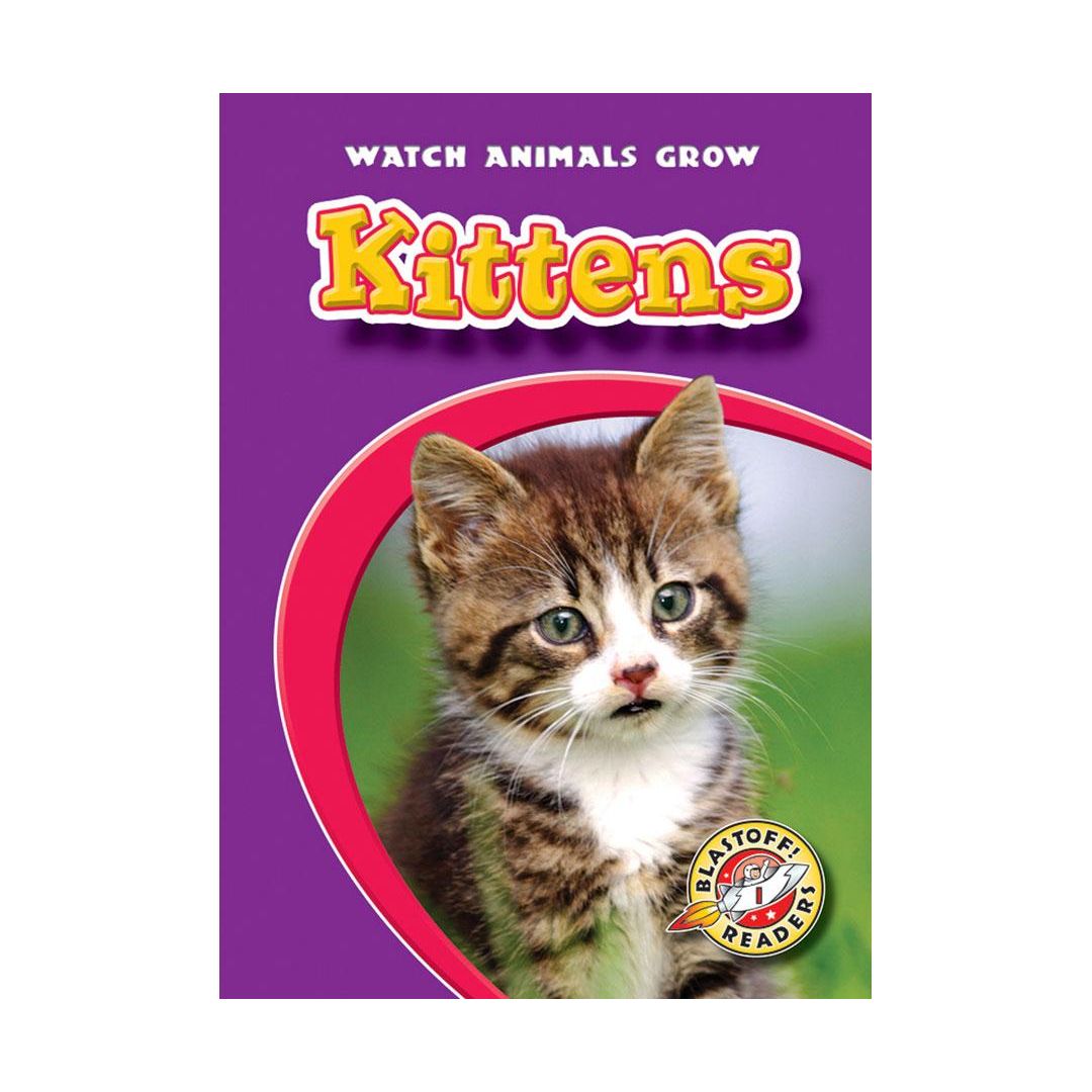 Kittens