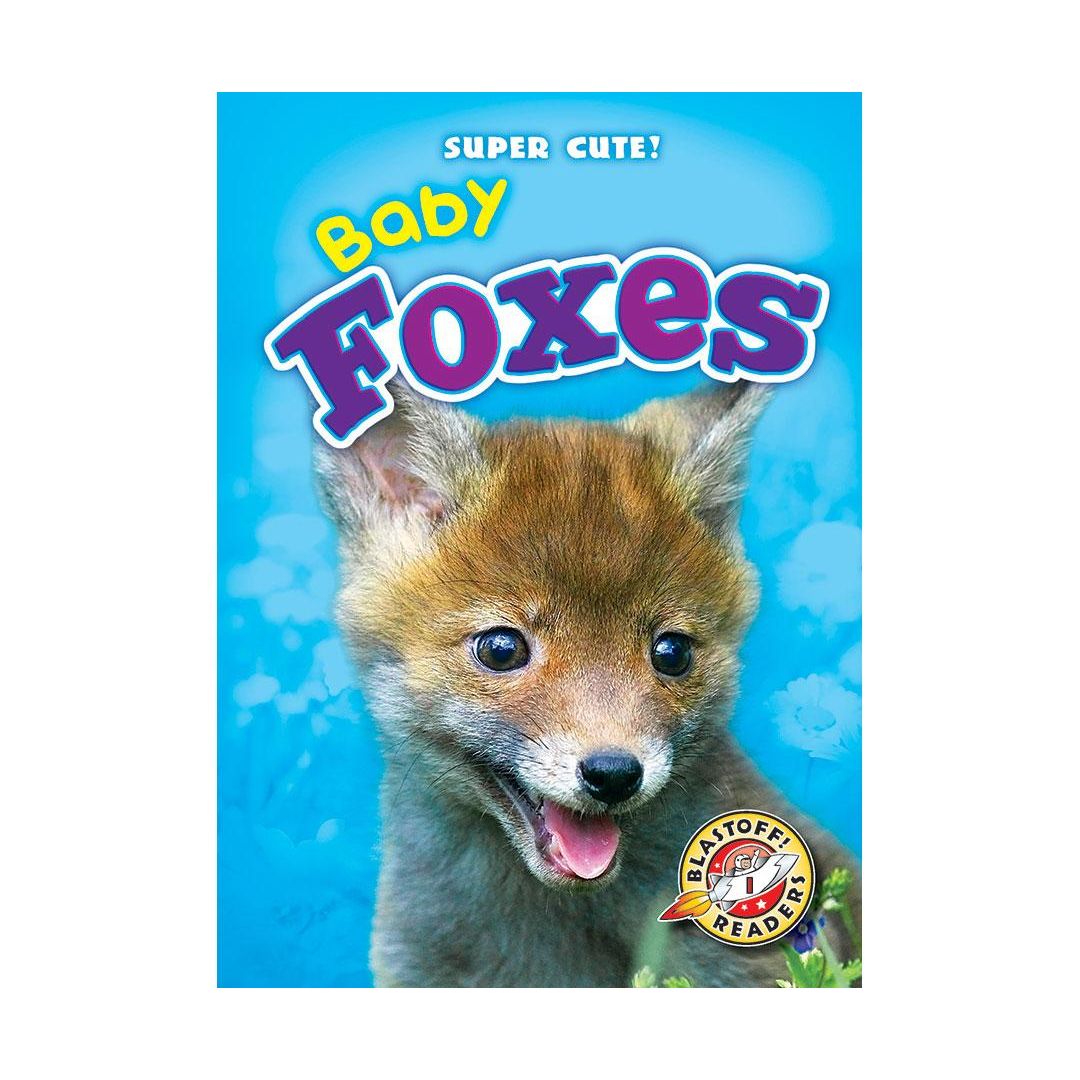 Baby Foxes