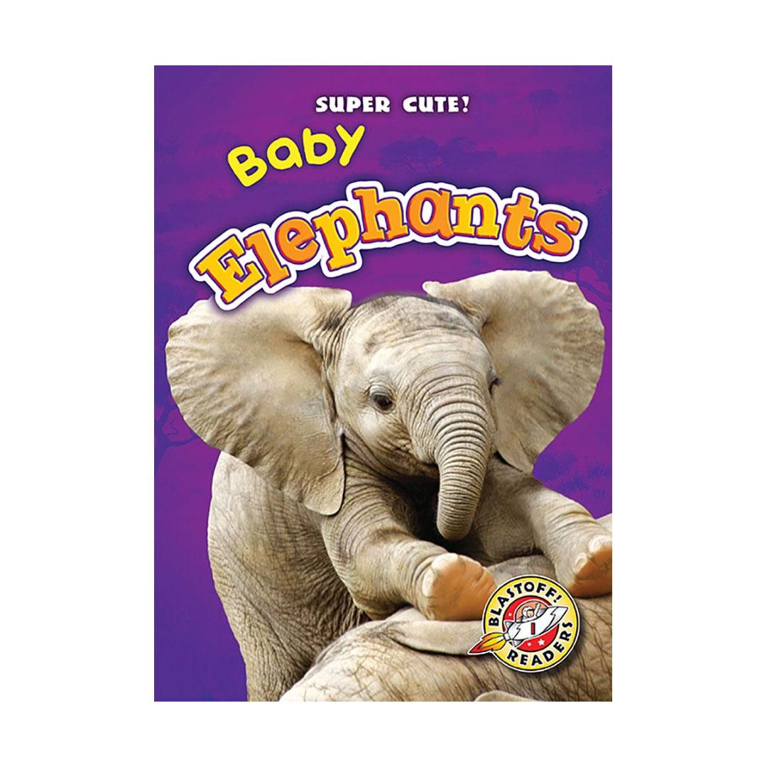 Baby Elephants