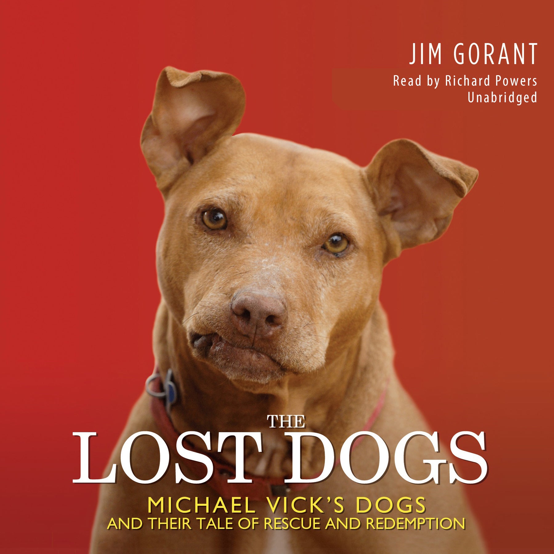 The Lost Dogs