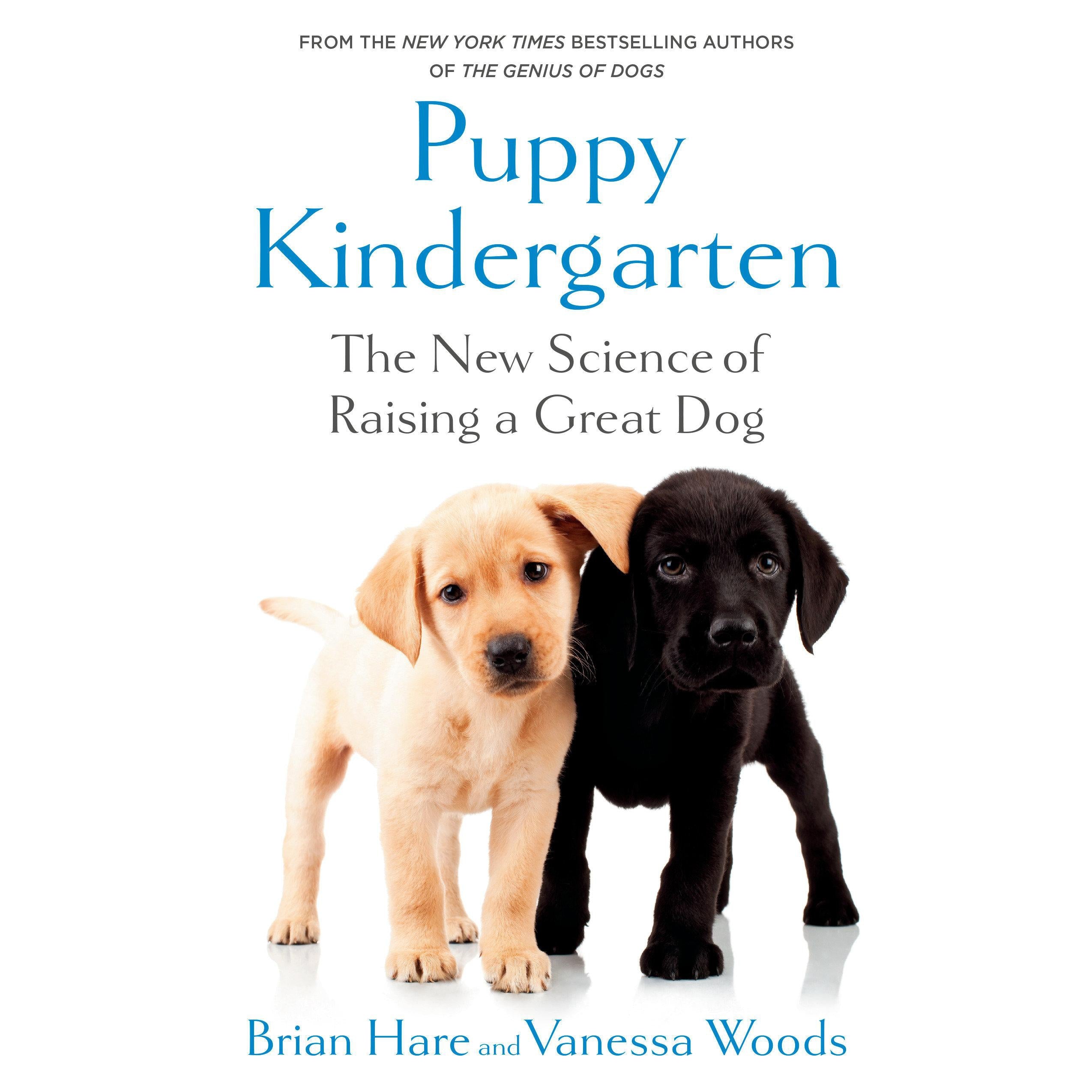 Puppy Kindergarten