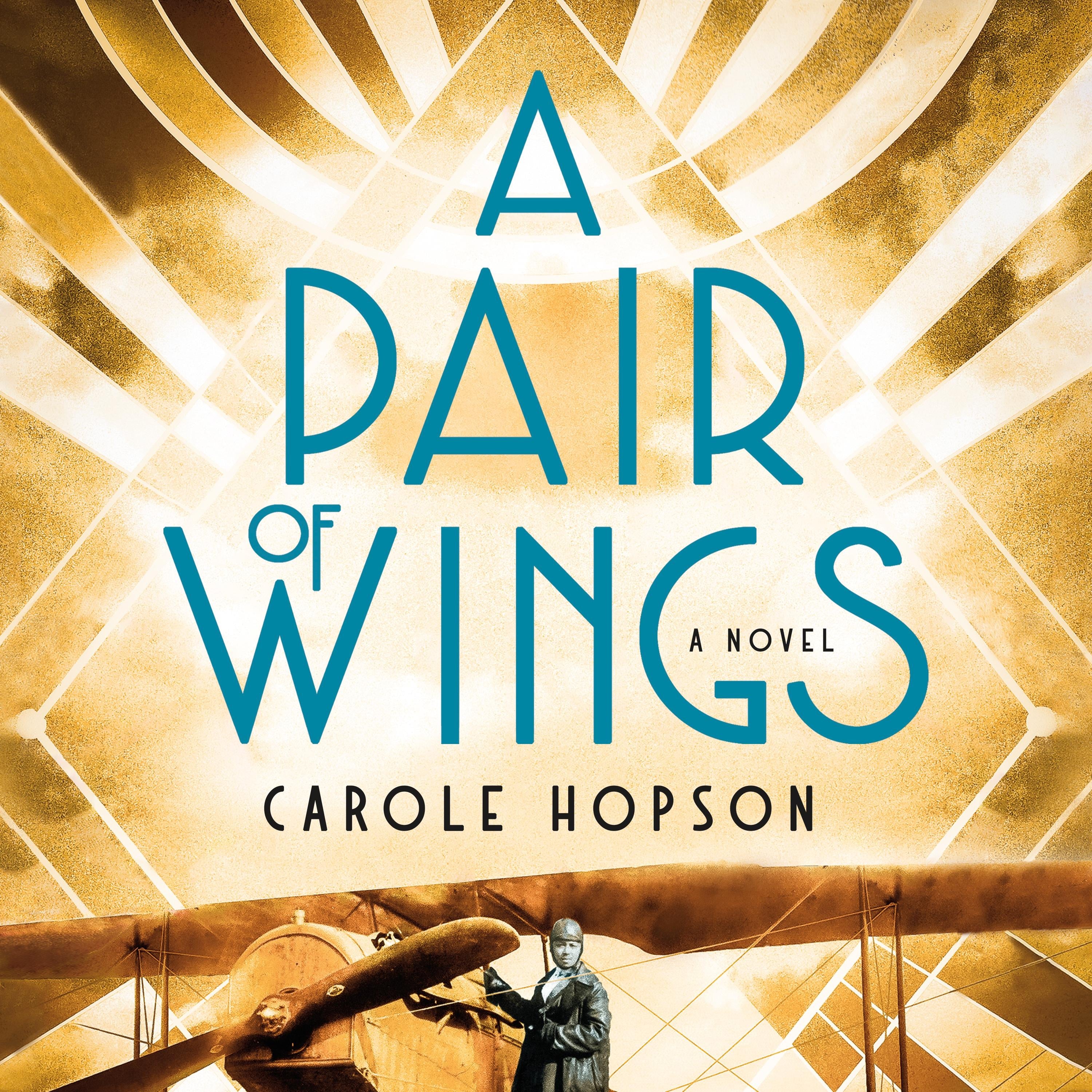A Pair of Wings