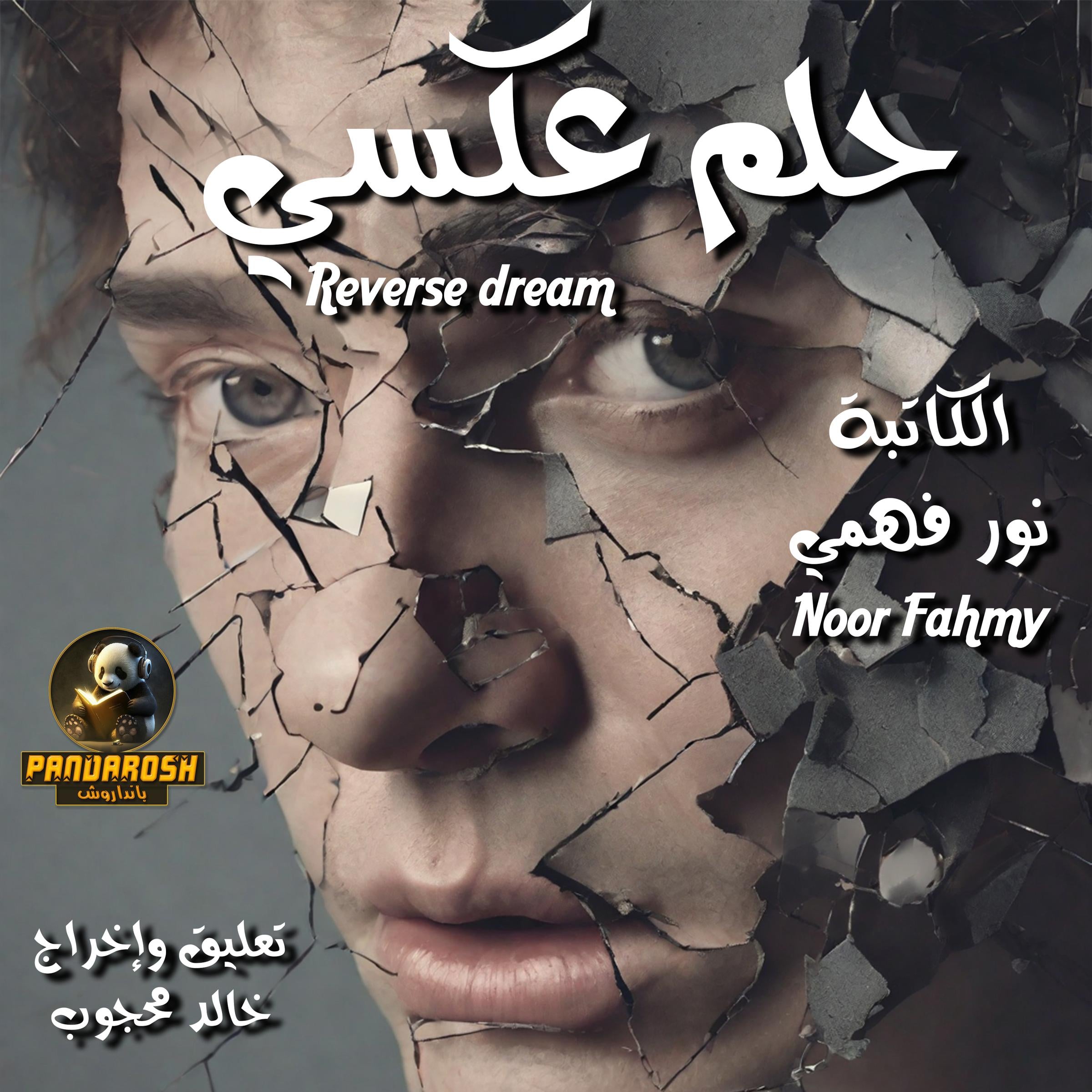 Reverse dream