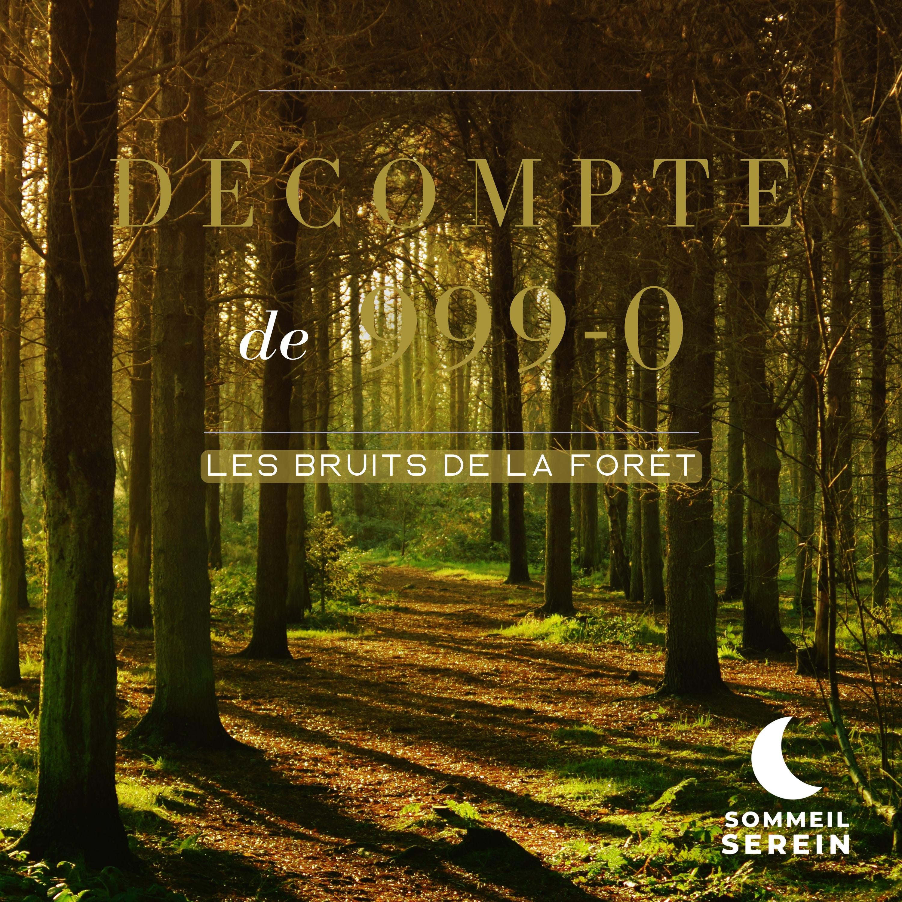 Décompte de 999-0: Les bruits de la forêt
