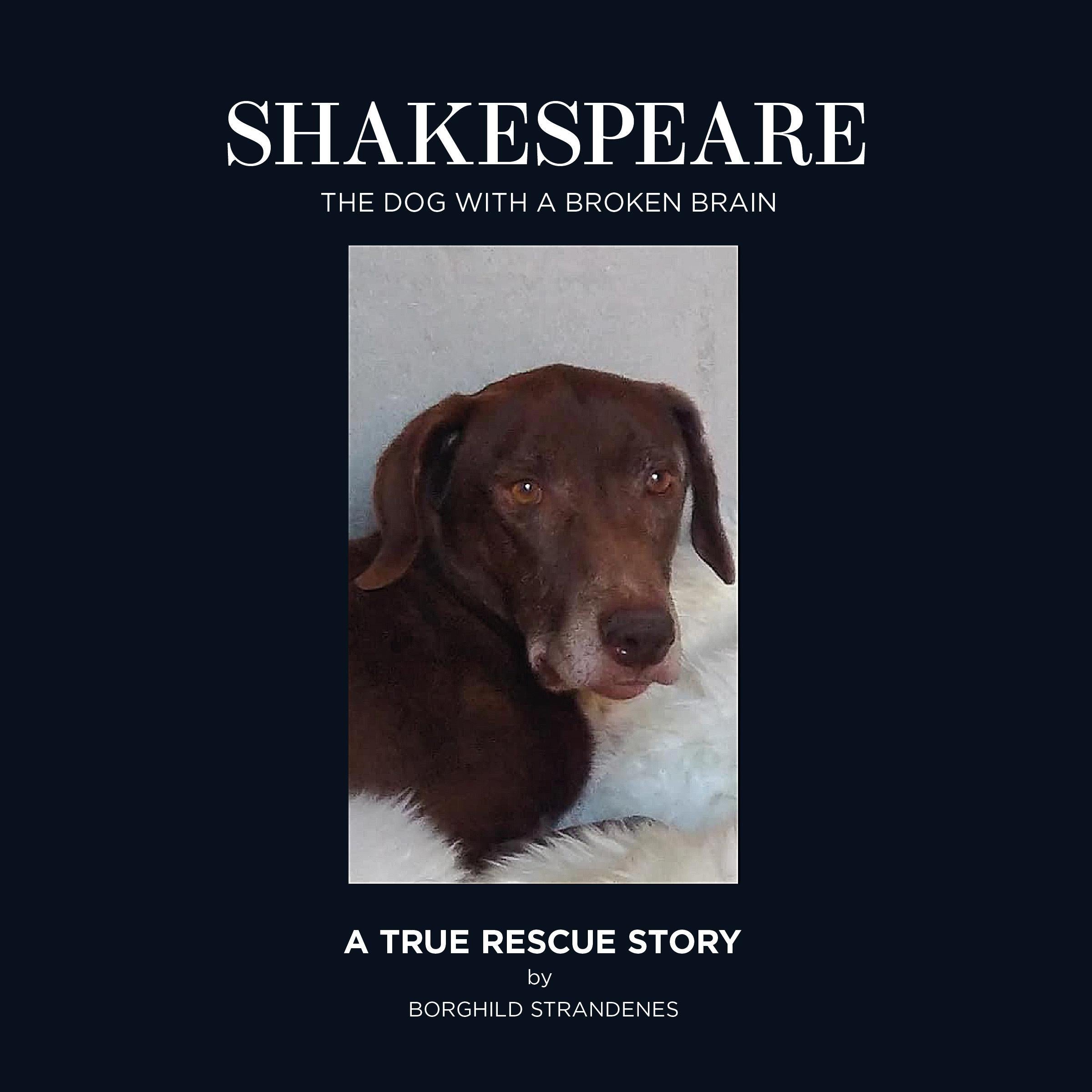 Shakespeare