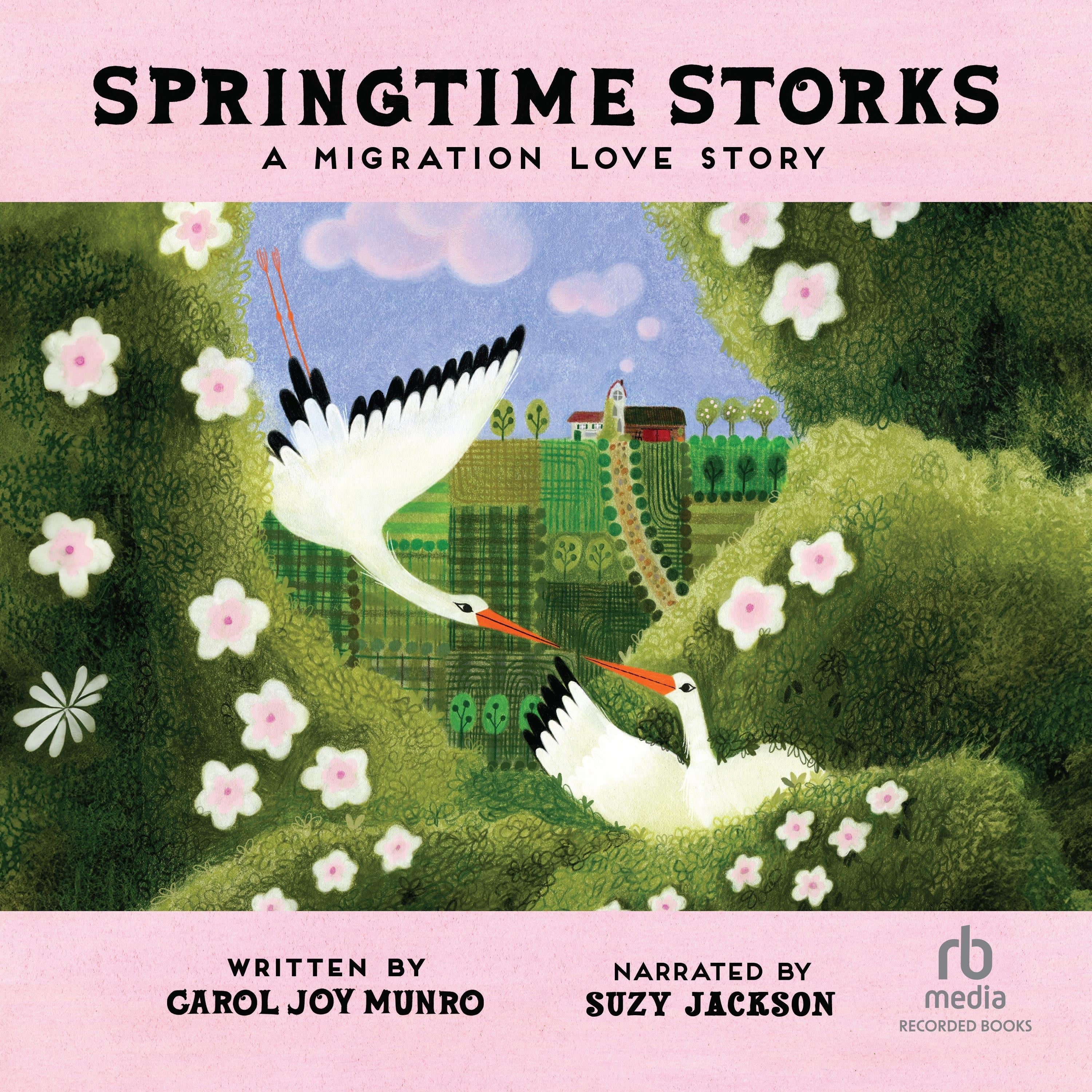 Springtime Storks