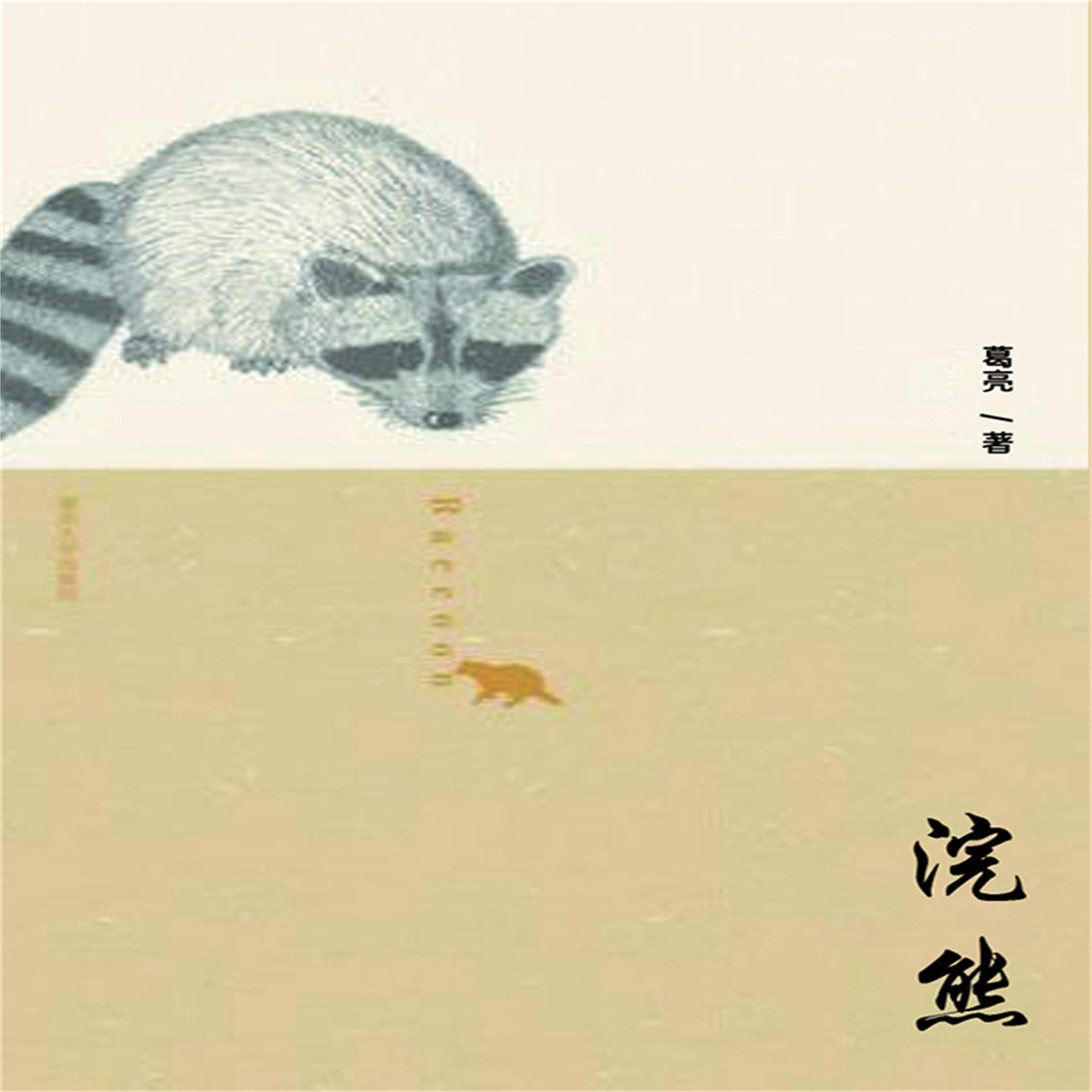 浣熊