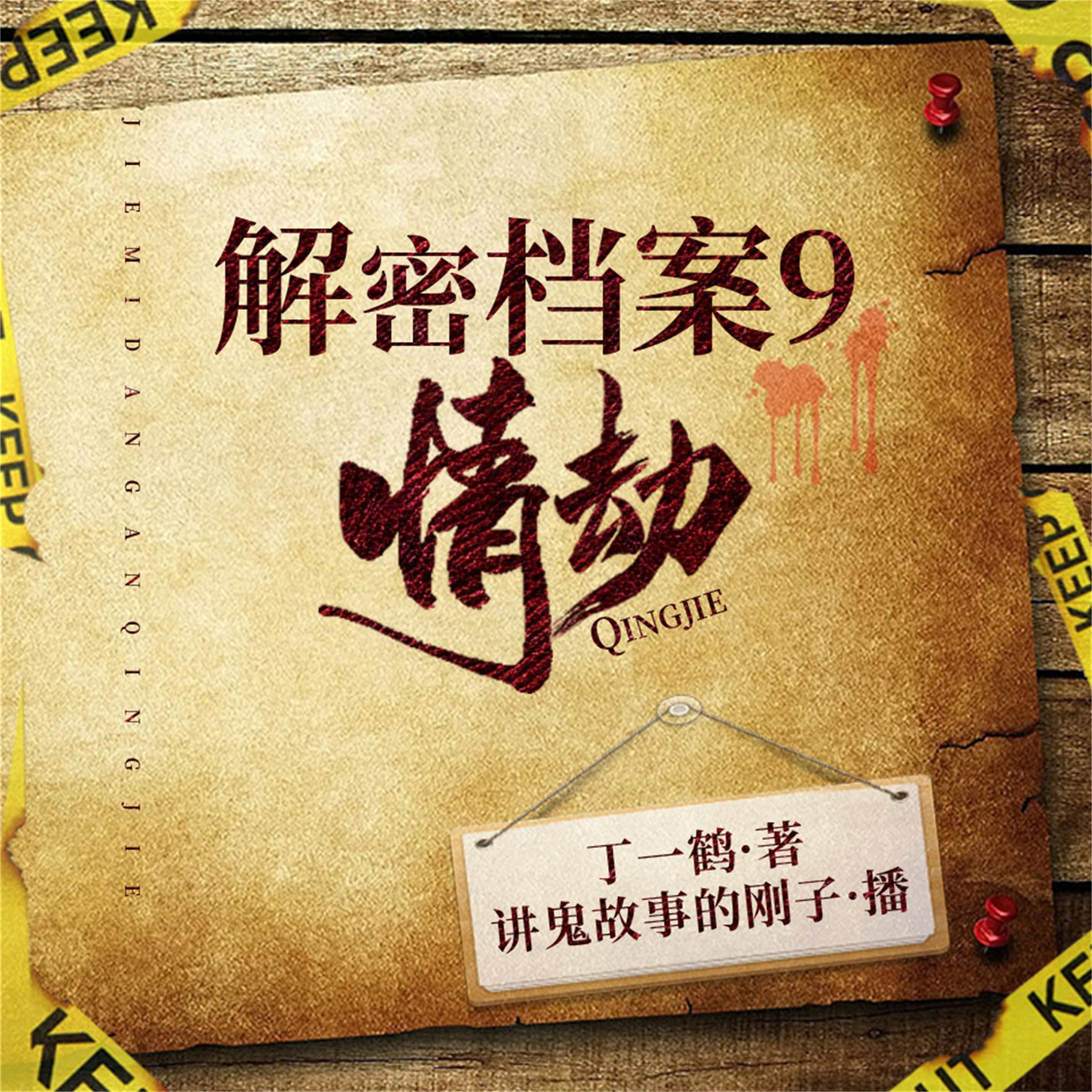解密中国大案9:情劫