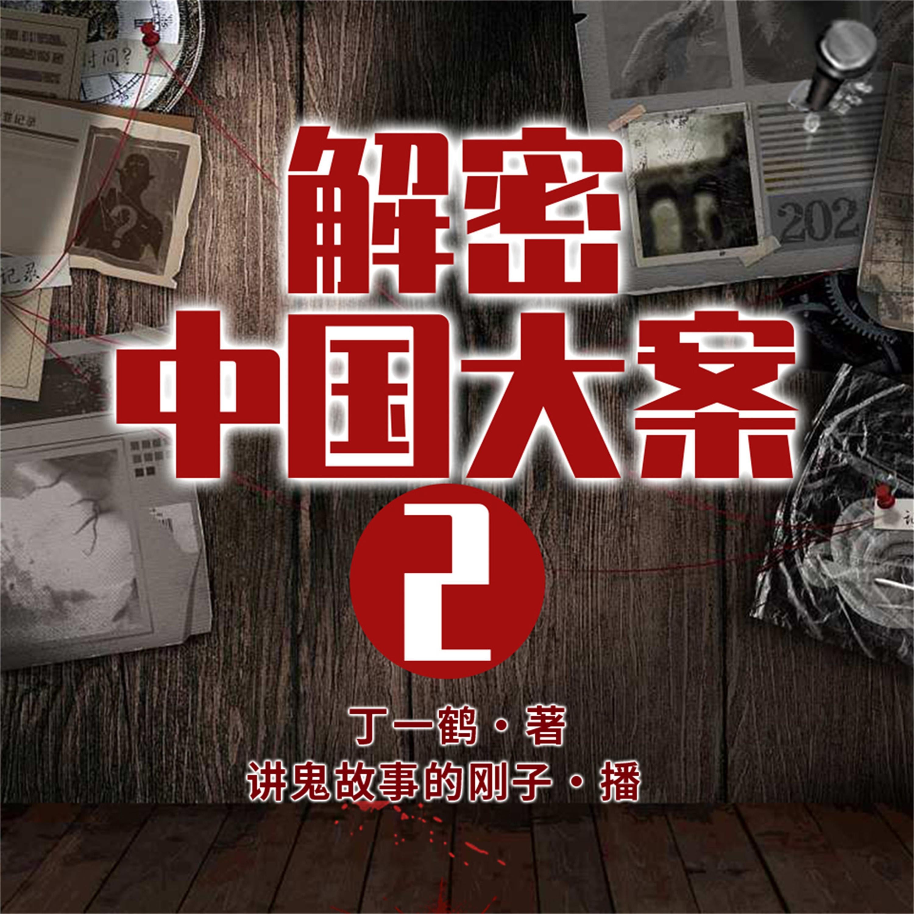 解密中国大案2