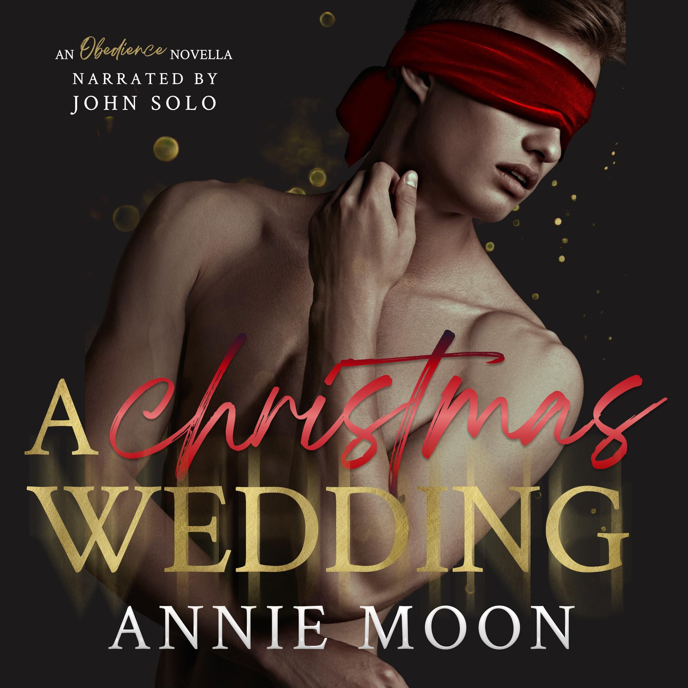A Christmas Wedding