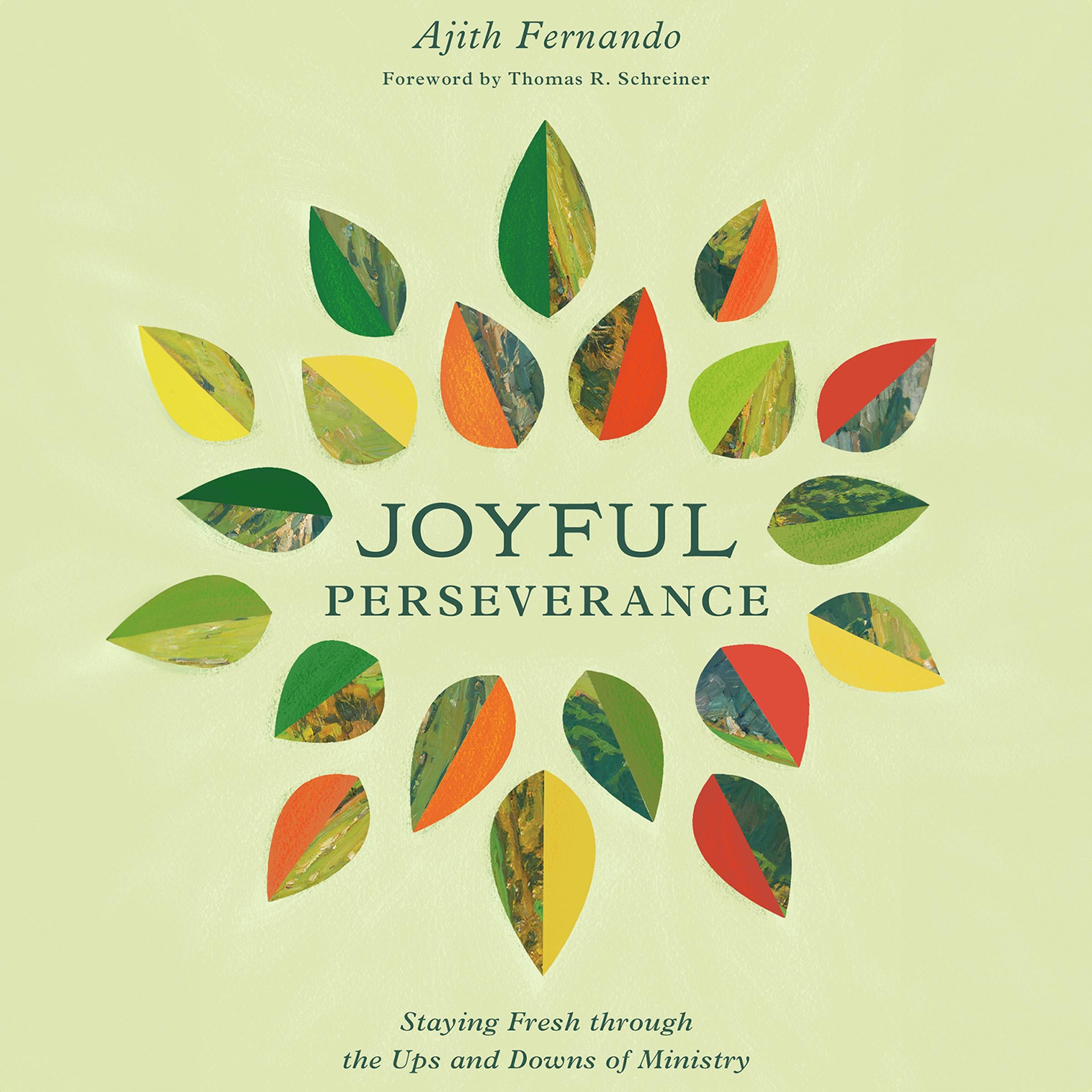 Joyful Perseverance