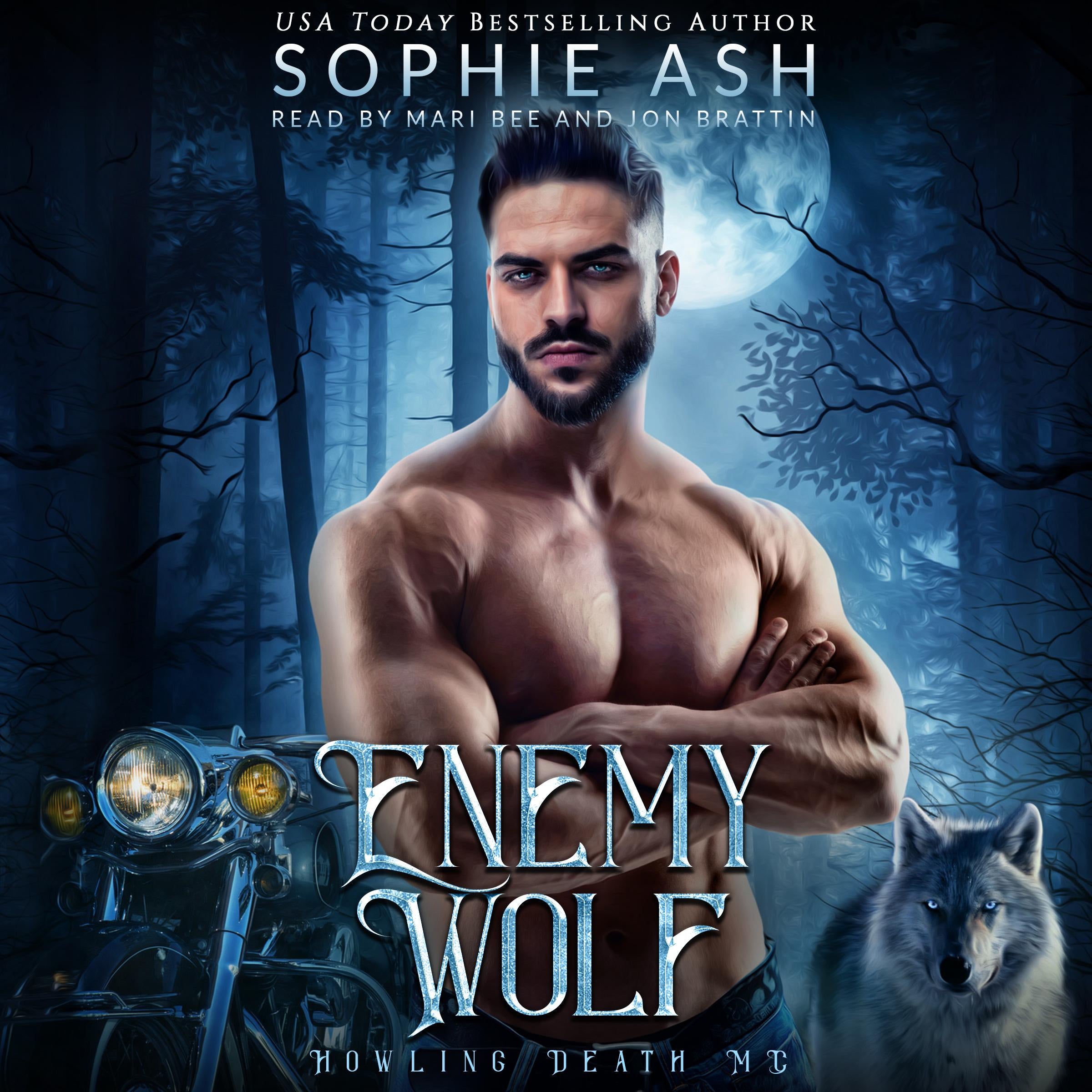 Enemy Wolf