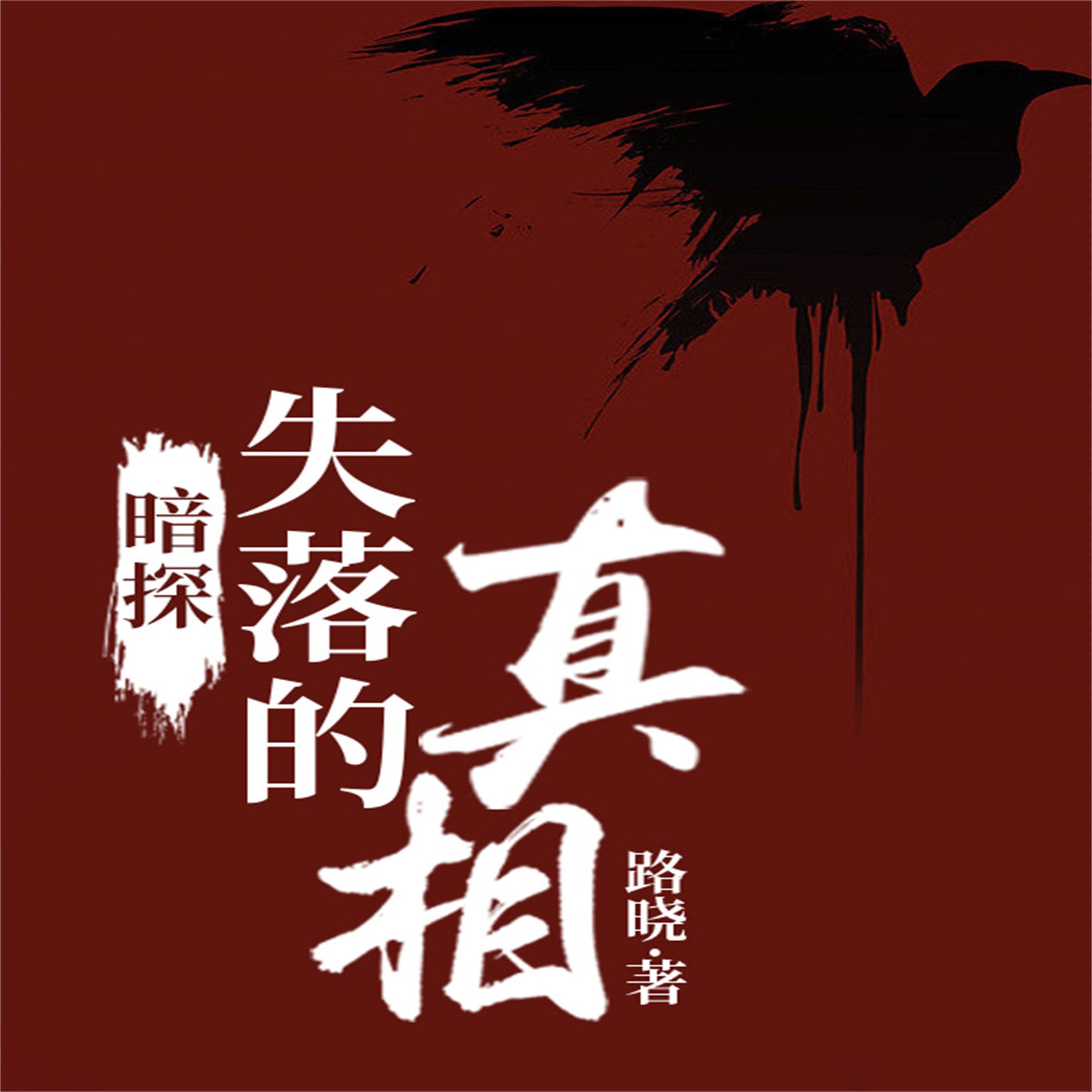 暗探:失落的真相