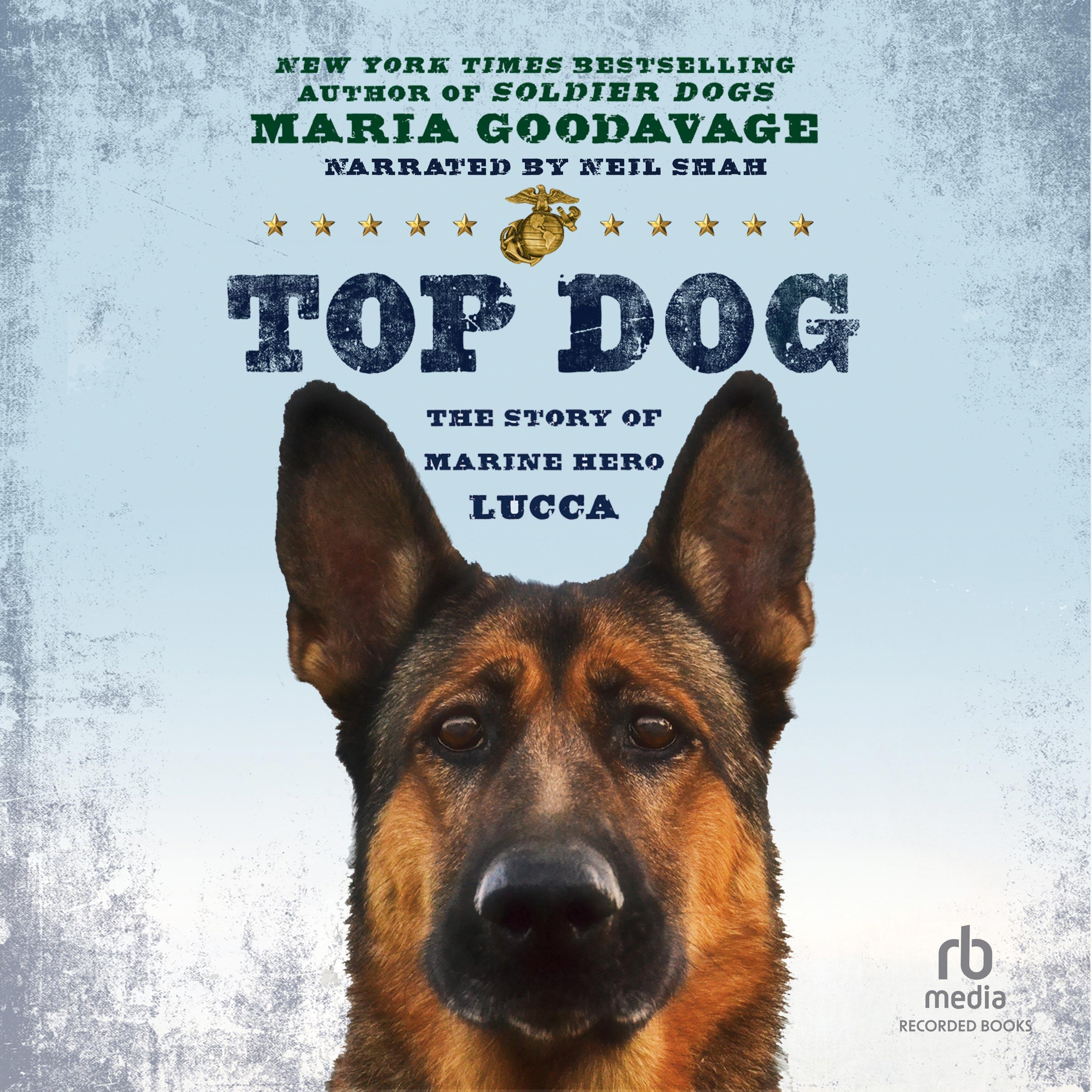 Top Dog