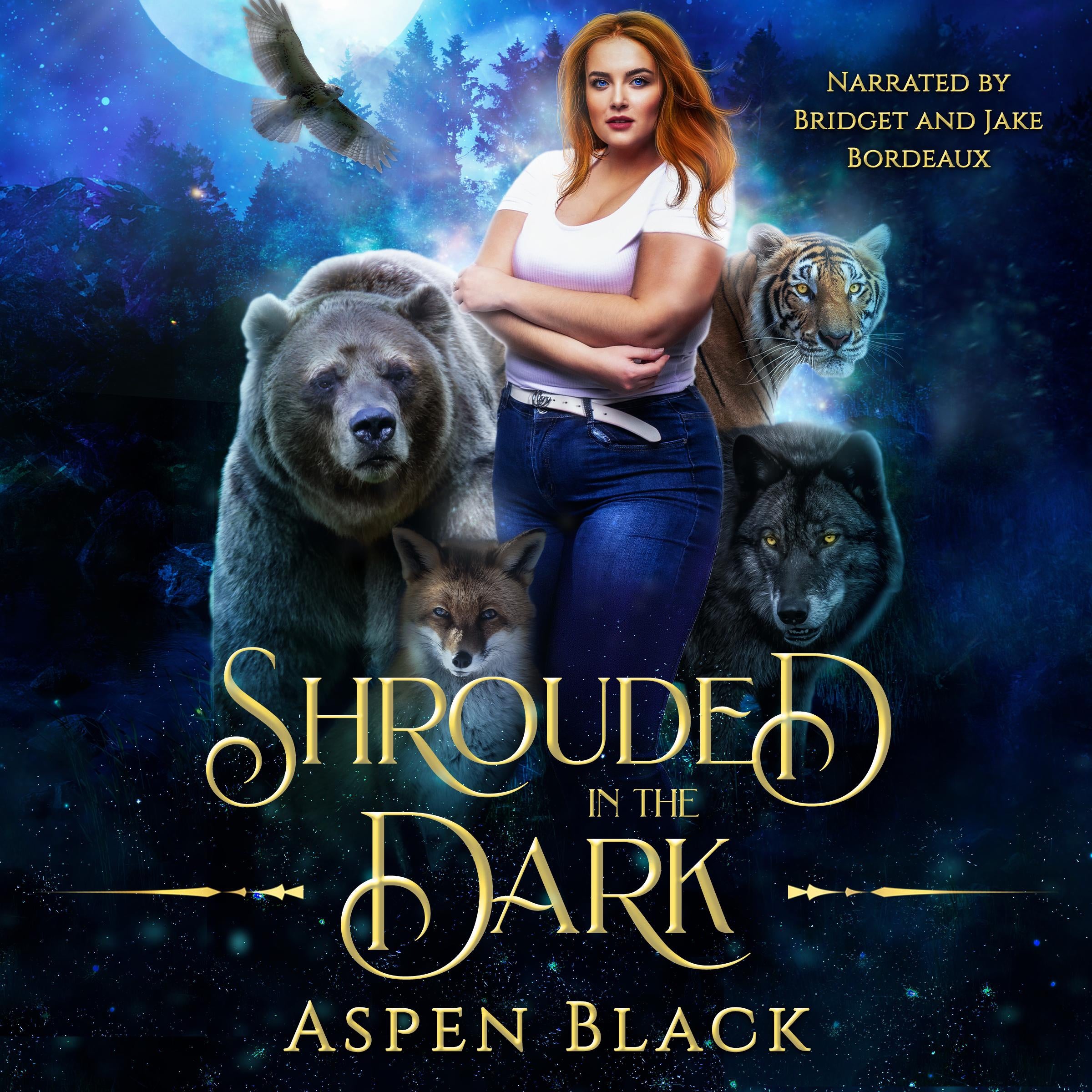 Shrouded in the Dark