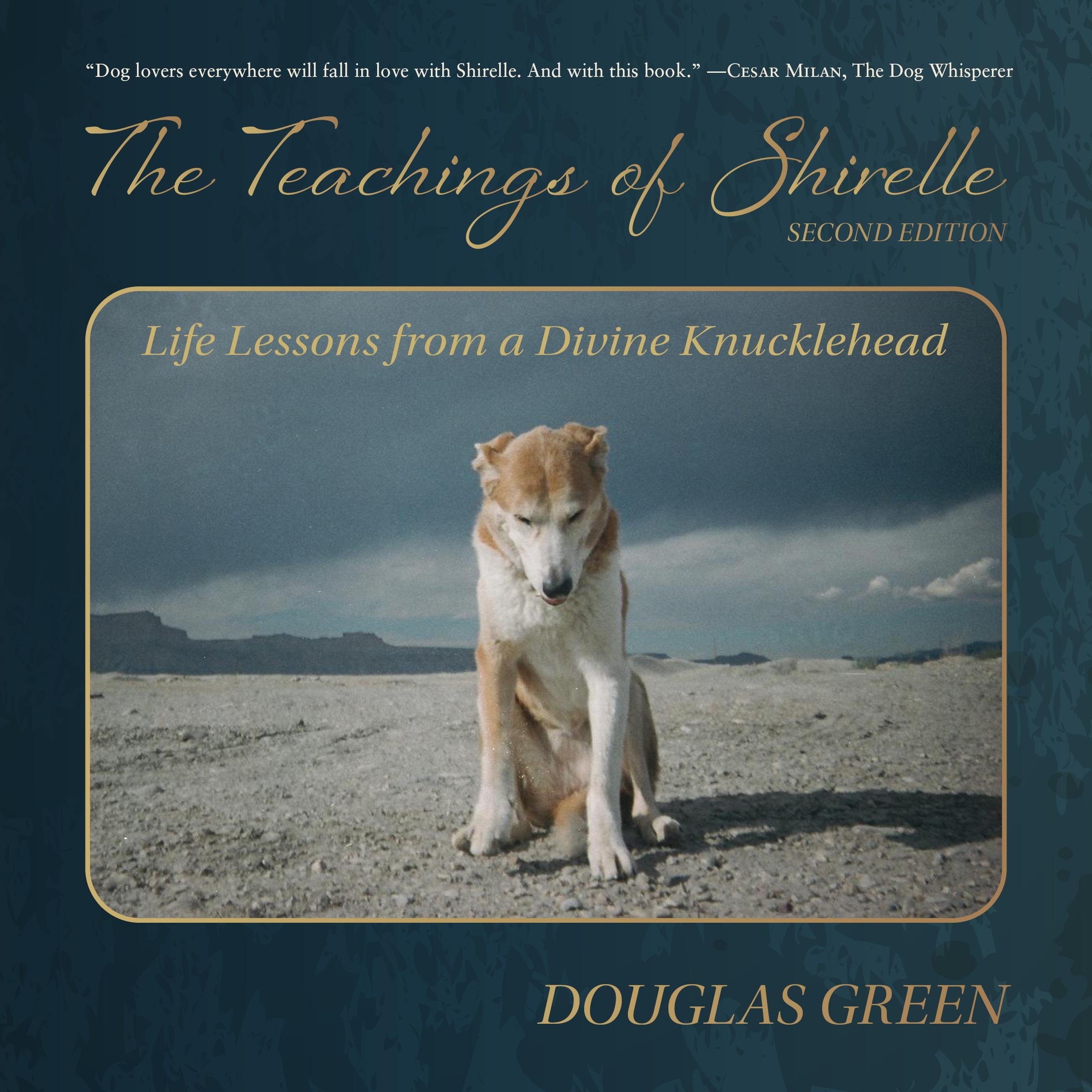 The Teachings of Shirelle