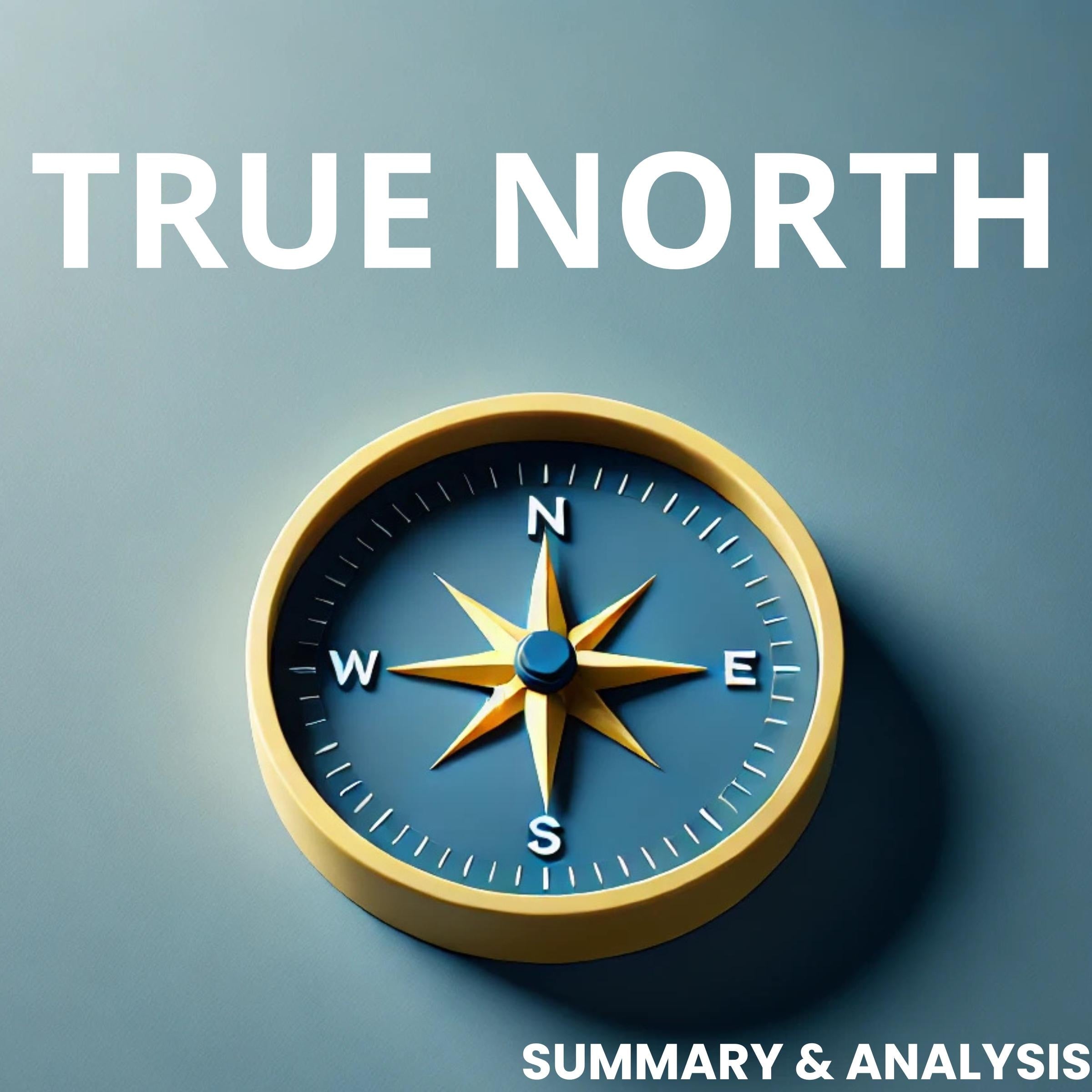 True North: Book summary & analysis