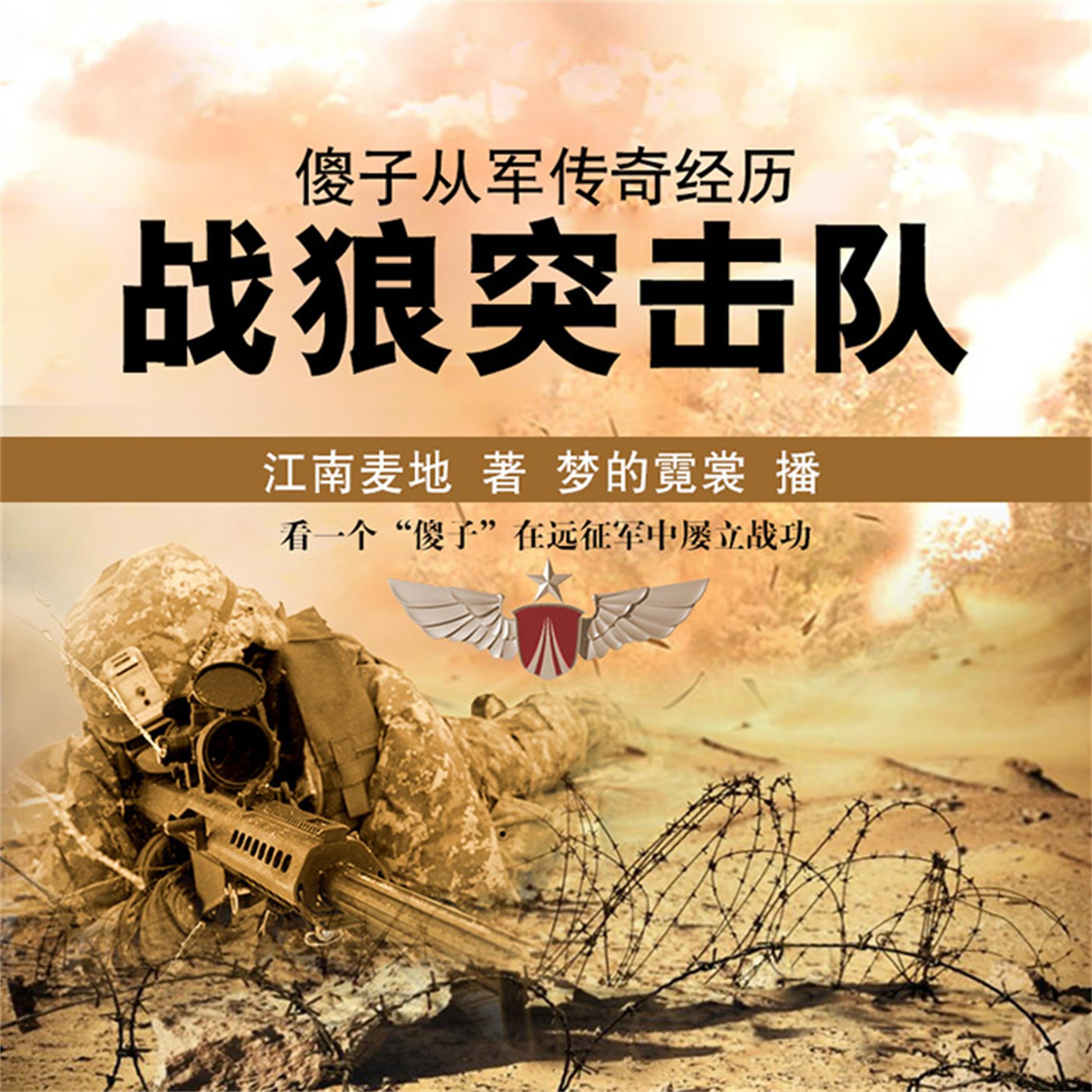傻子从军传奇经历:战狼突击队