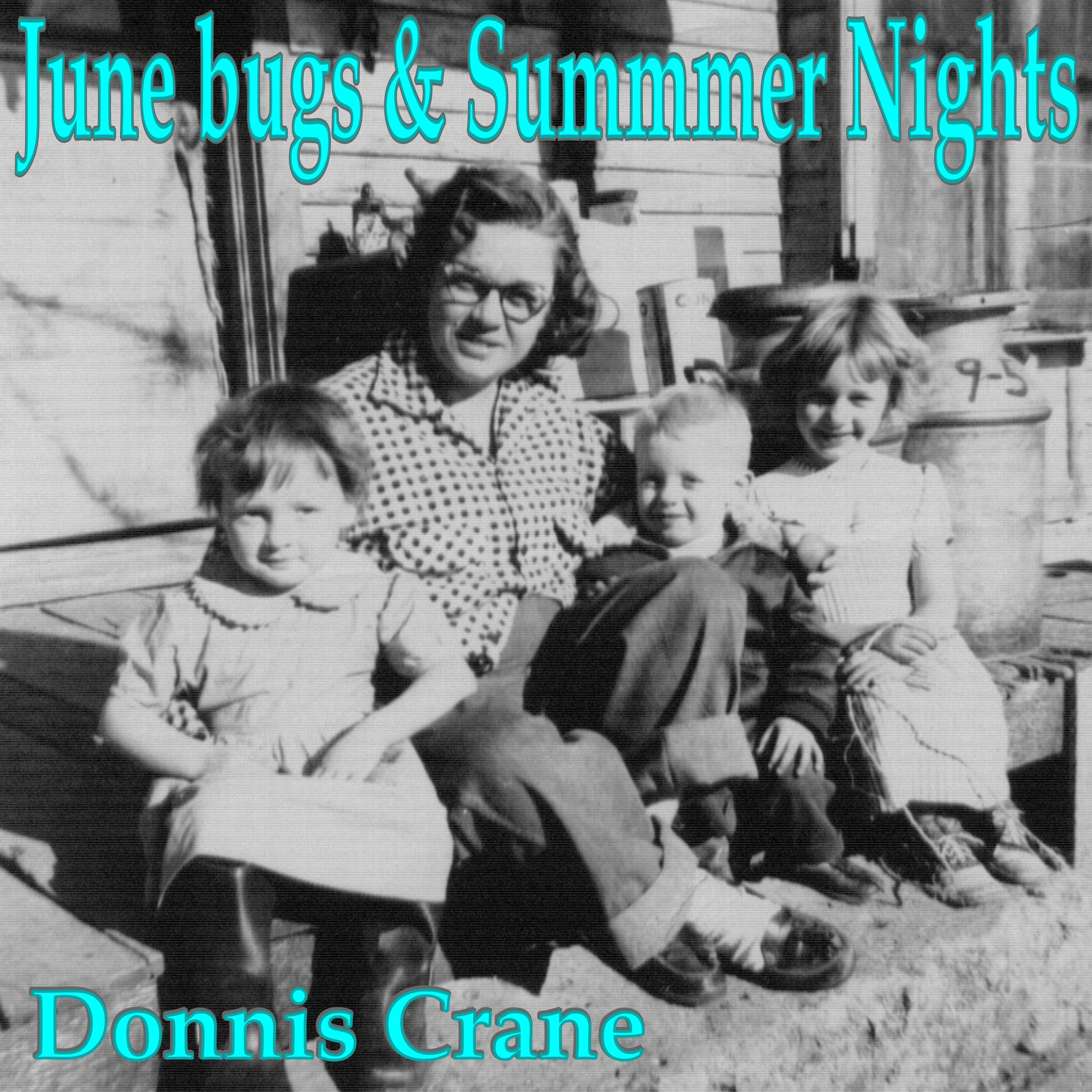 June bugs and Summer Nights