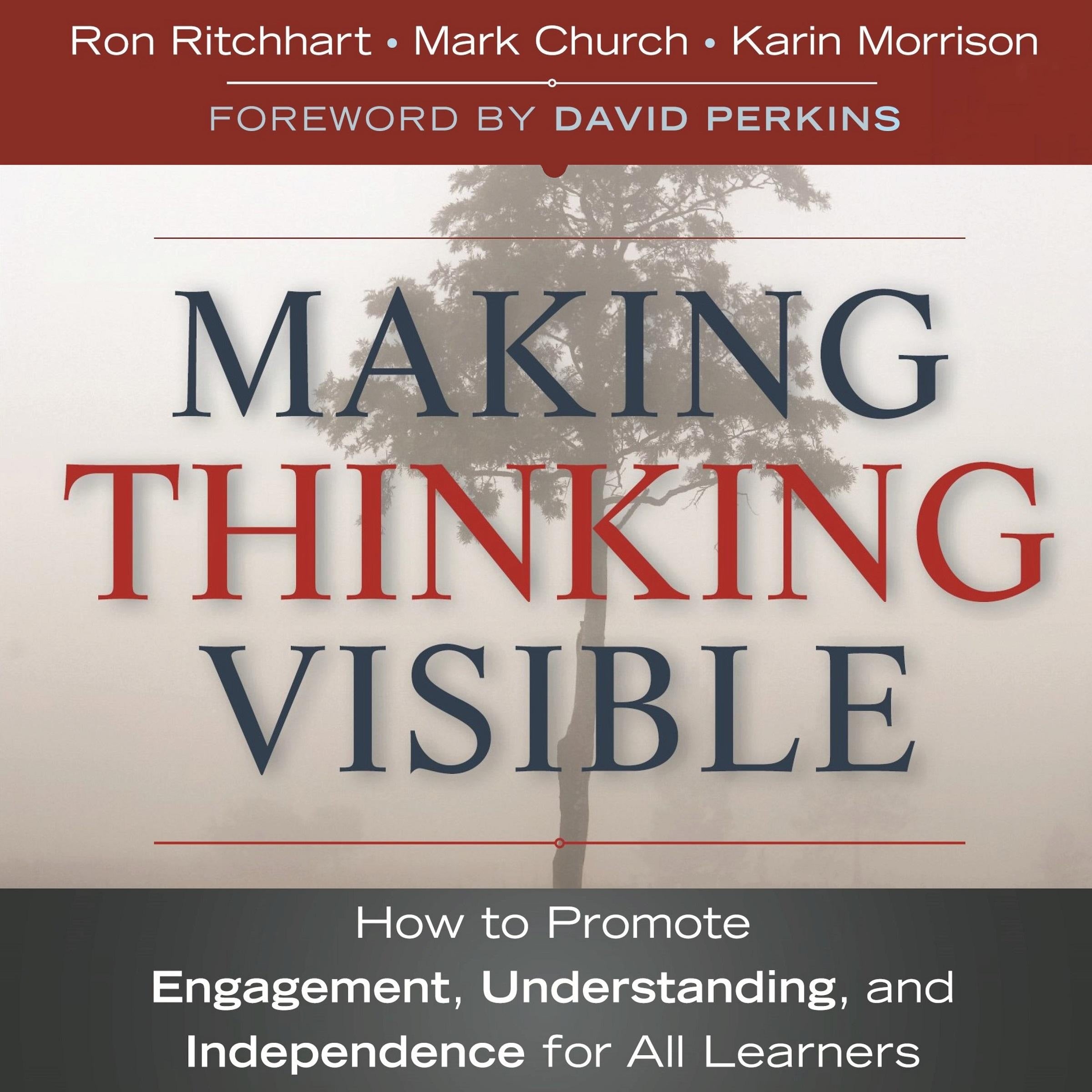Making Thinking Visible