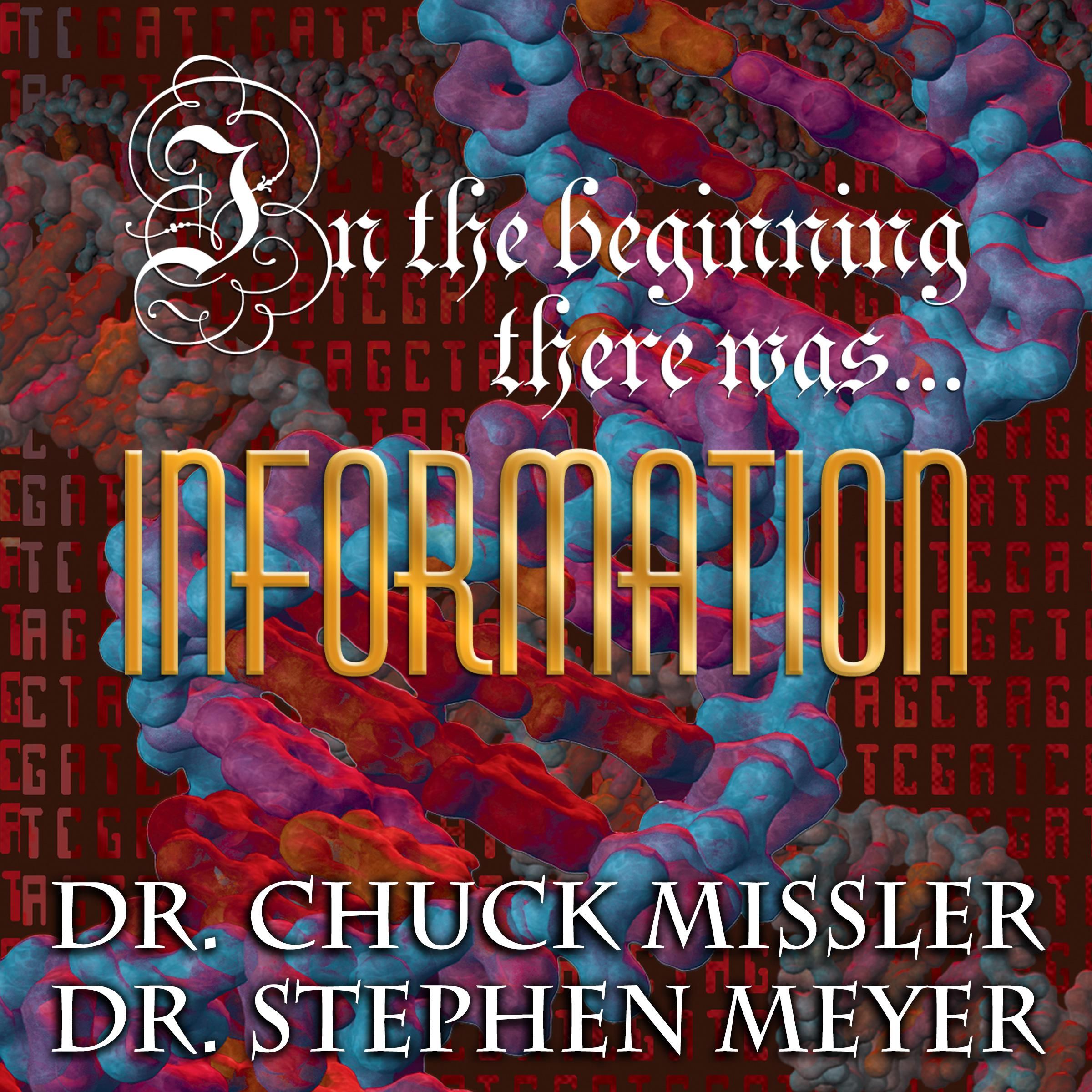 In the Beginning There Was...Information
