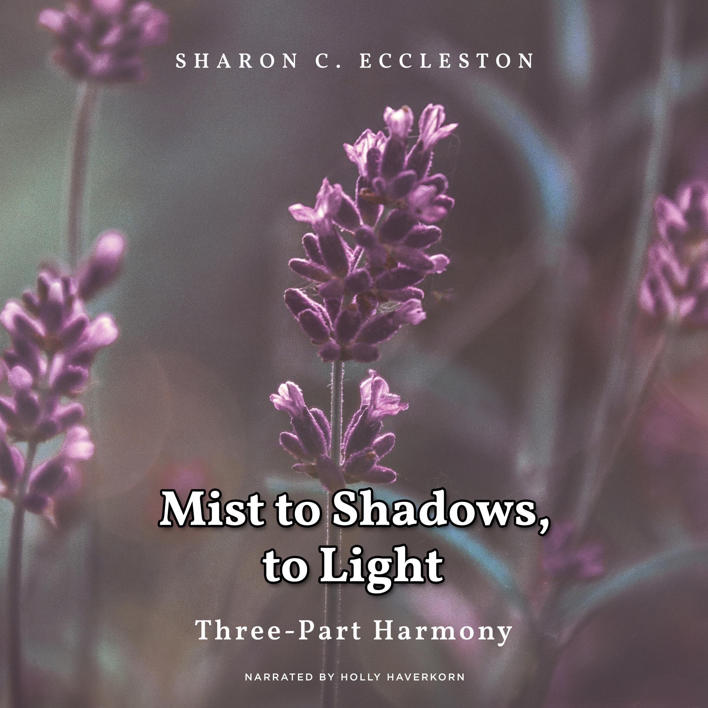 Mist to Shadow, To Light
