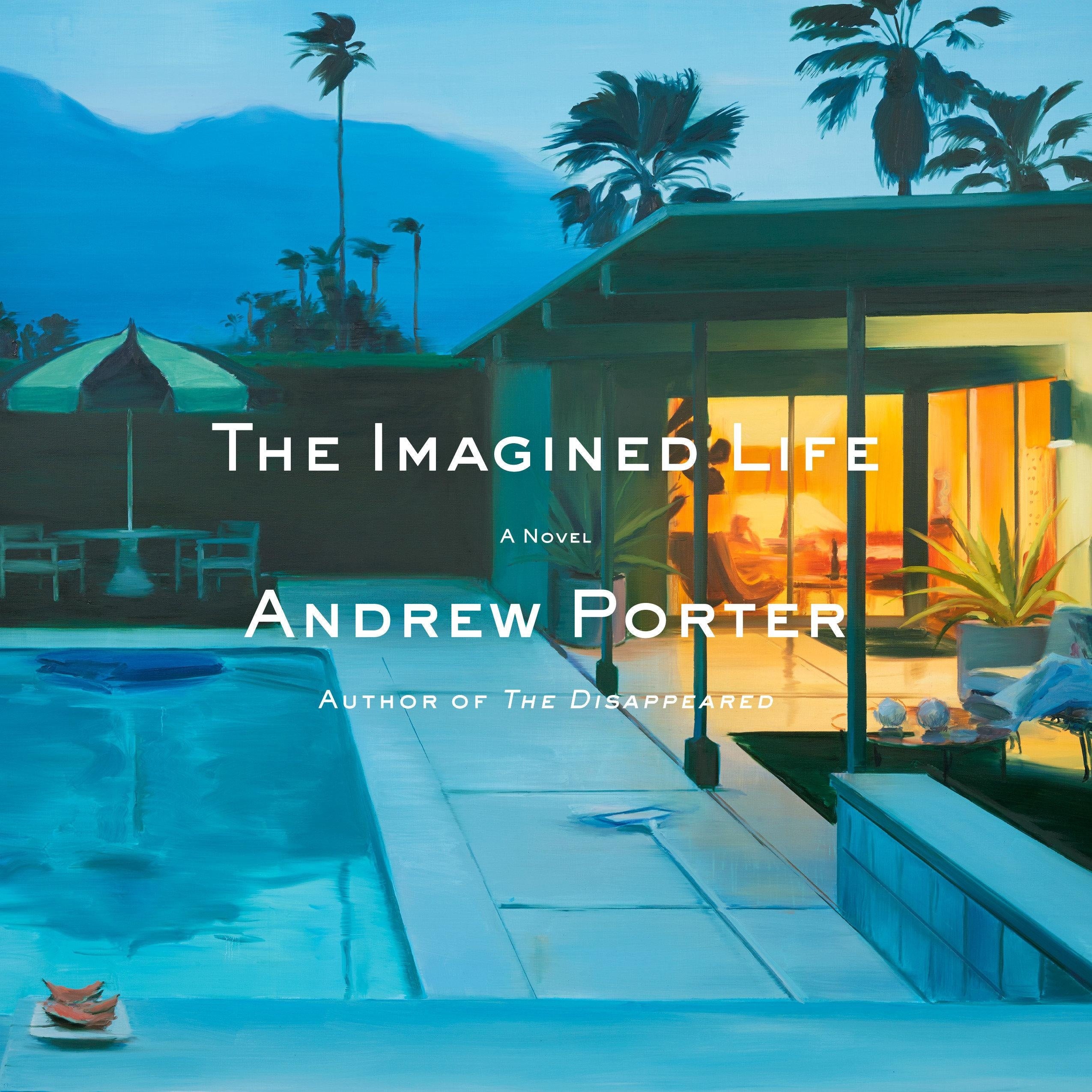 The Imagined Life