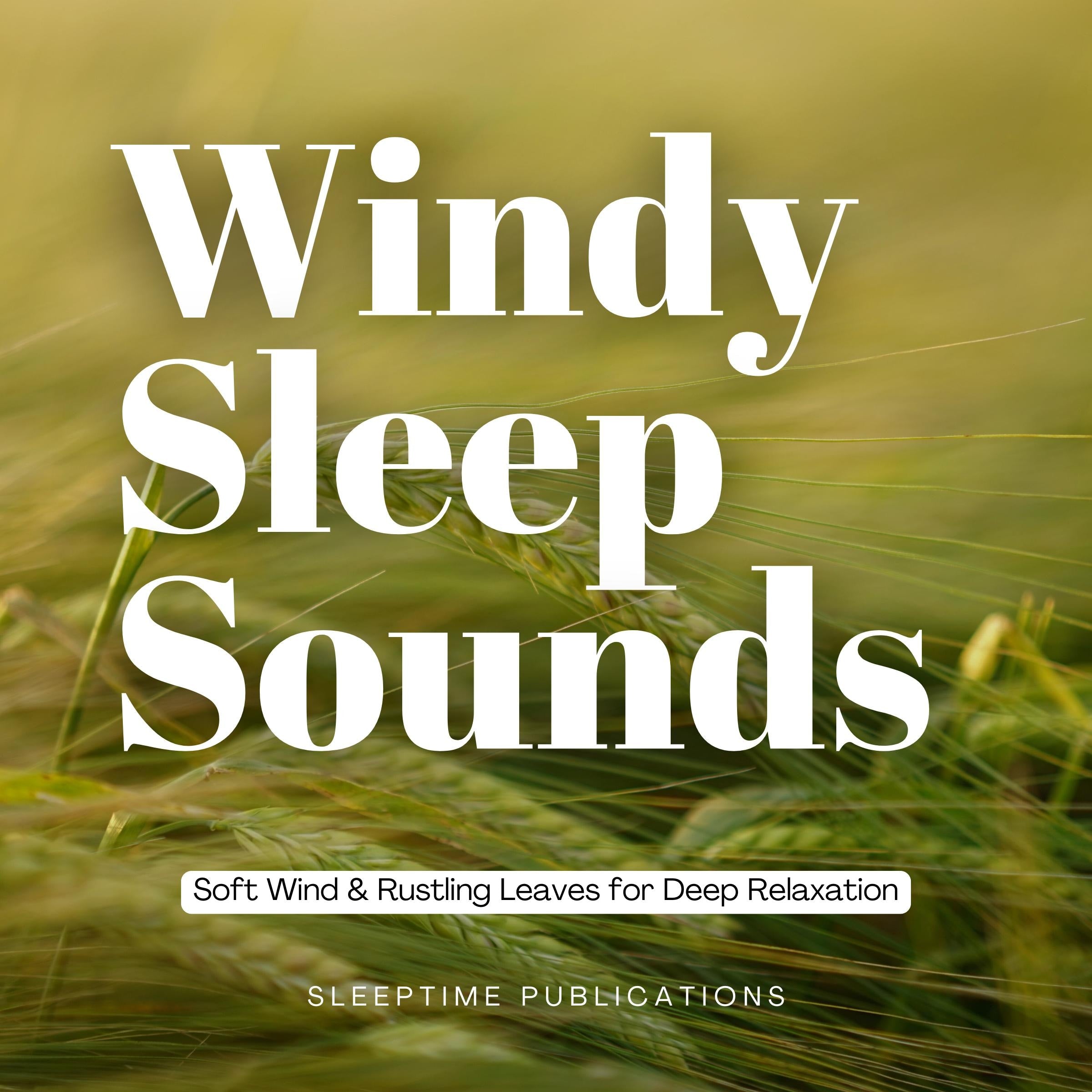 Windy Sleep Sounds