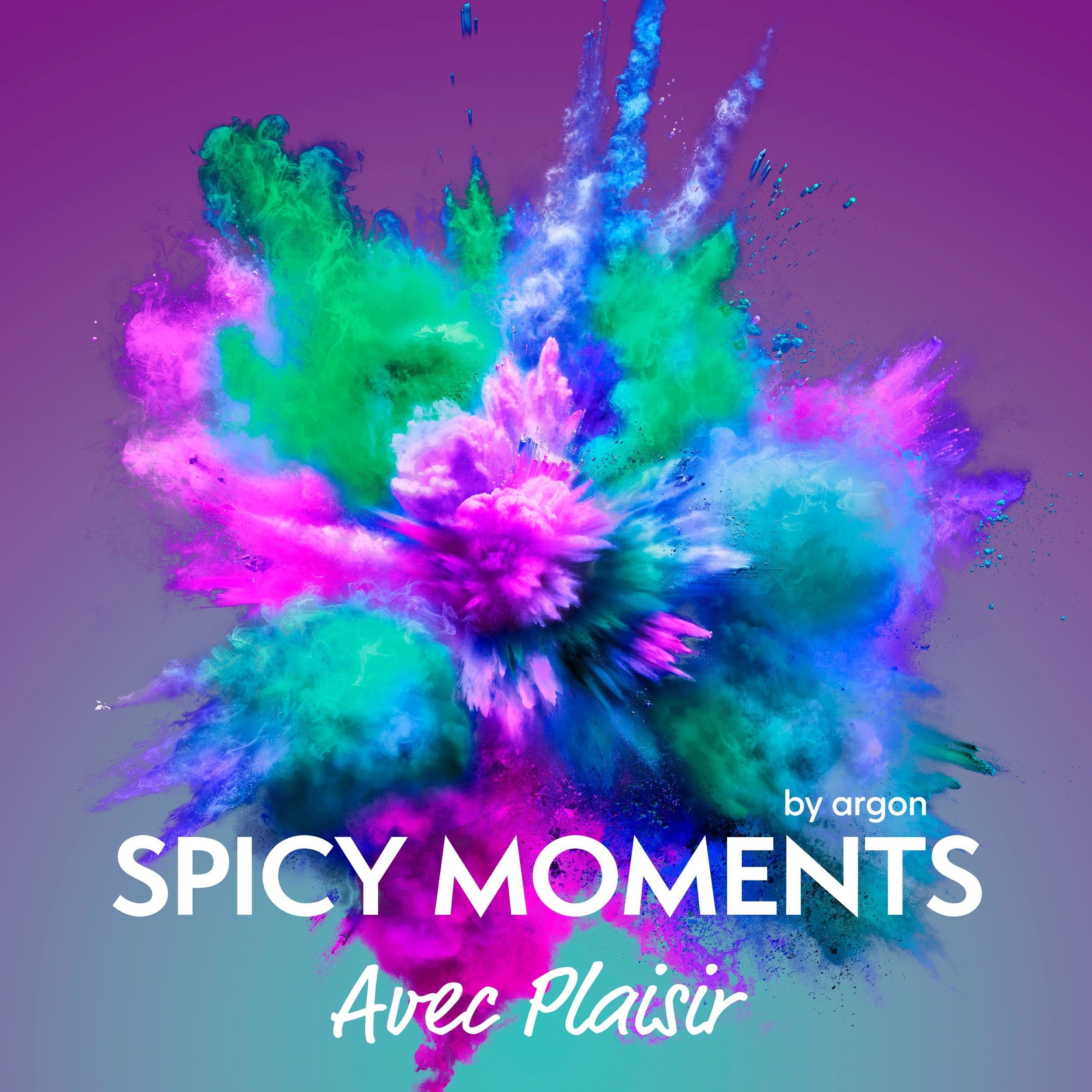 Avec Plaisir - Erotische Geschichte - spicy moments, Band 16 (Ungekürzte Lesung)