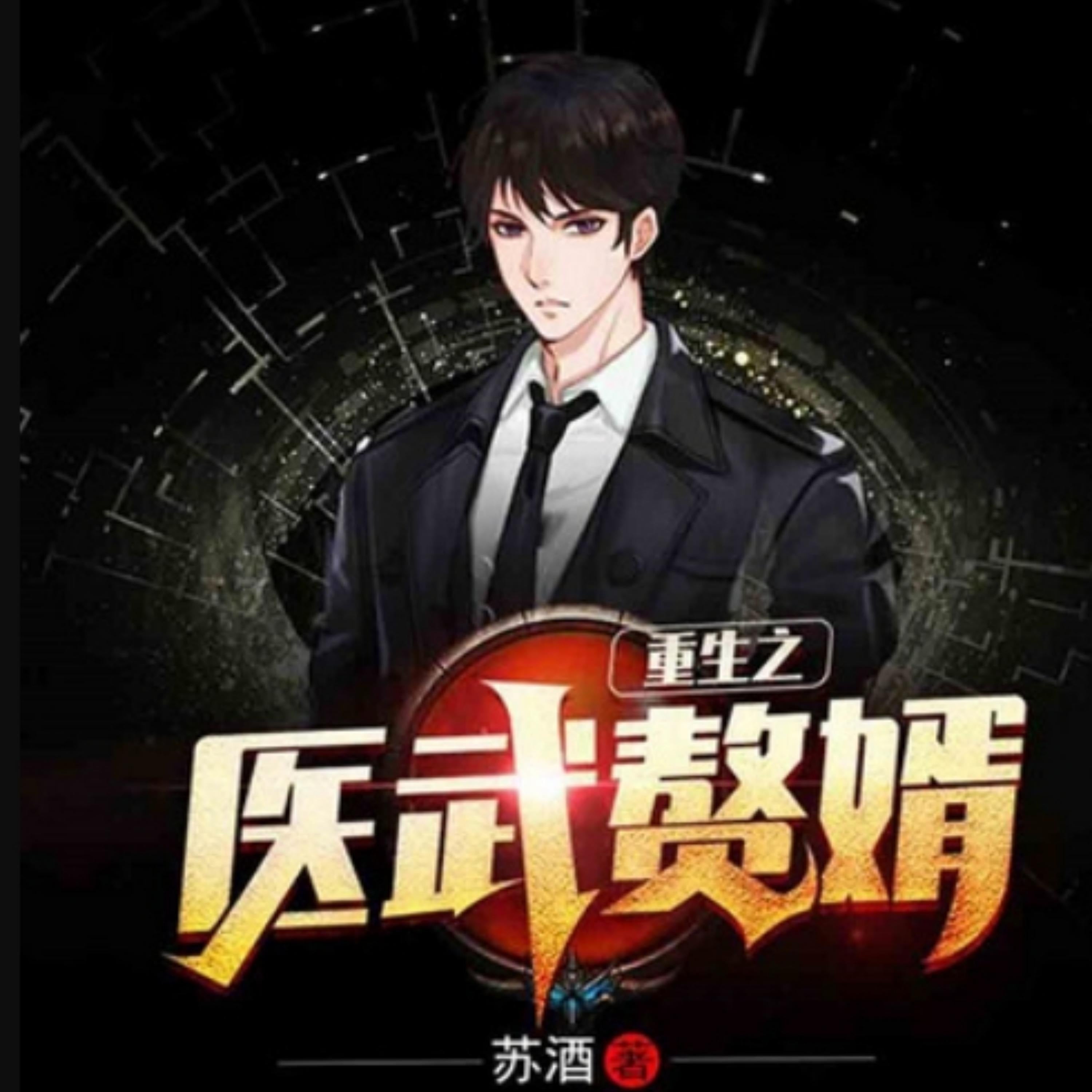 重生医武赘婿(神医赘婿)3