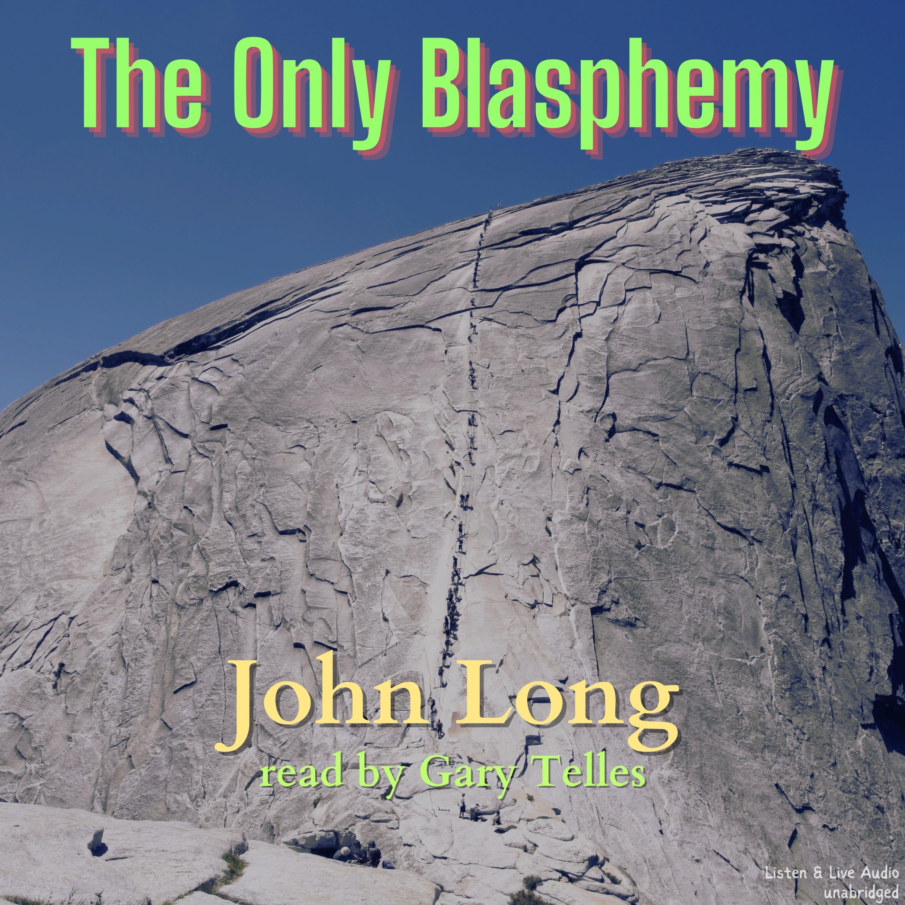 The Only Blasphemy