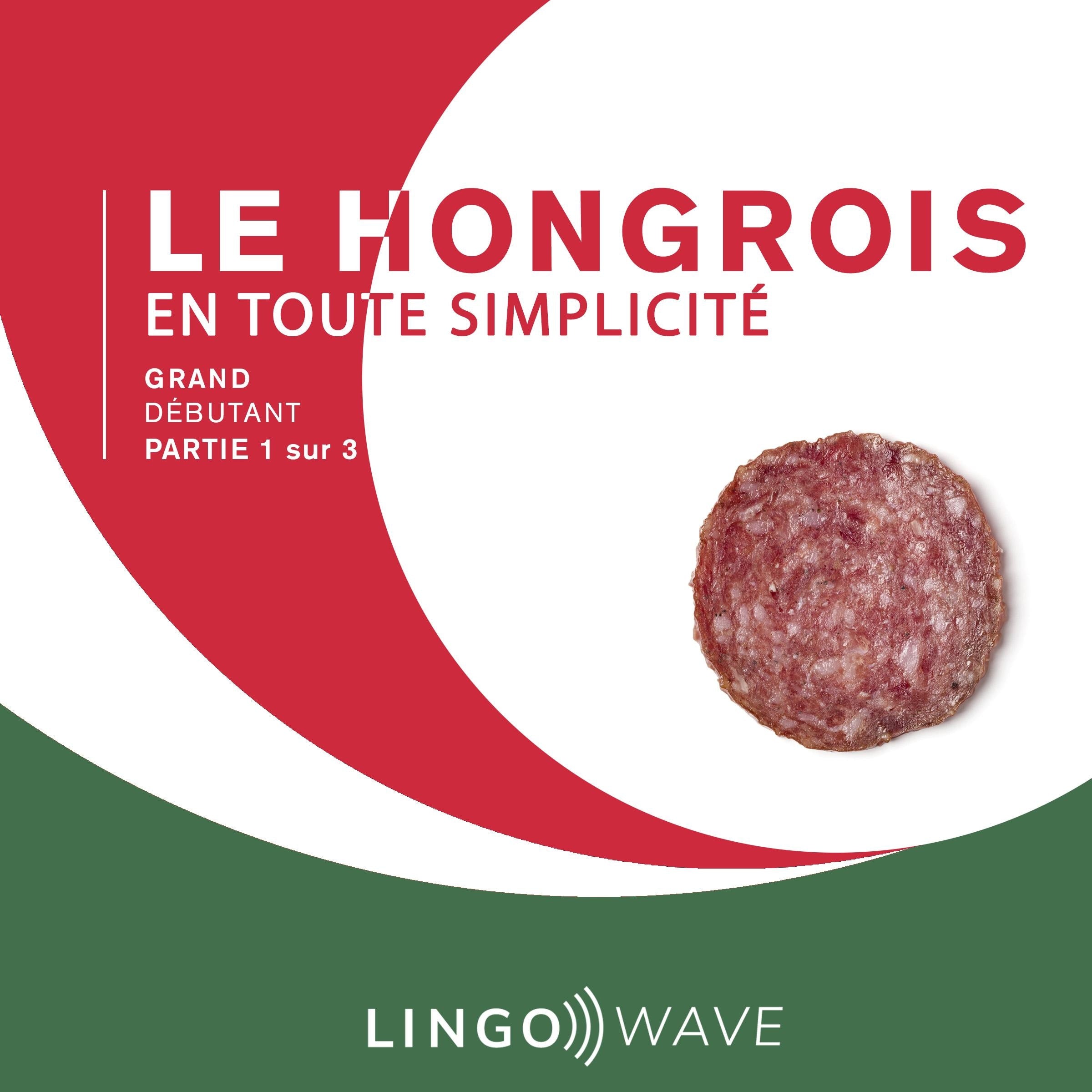 Le hongrois en toute simplicité - Grand Débutant - Partie 1 sur 3