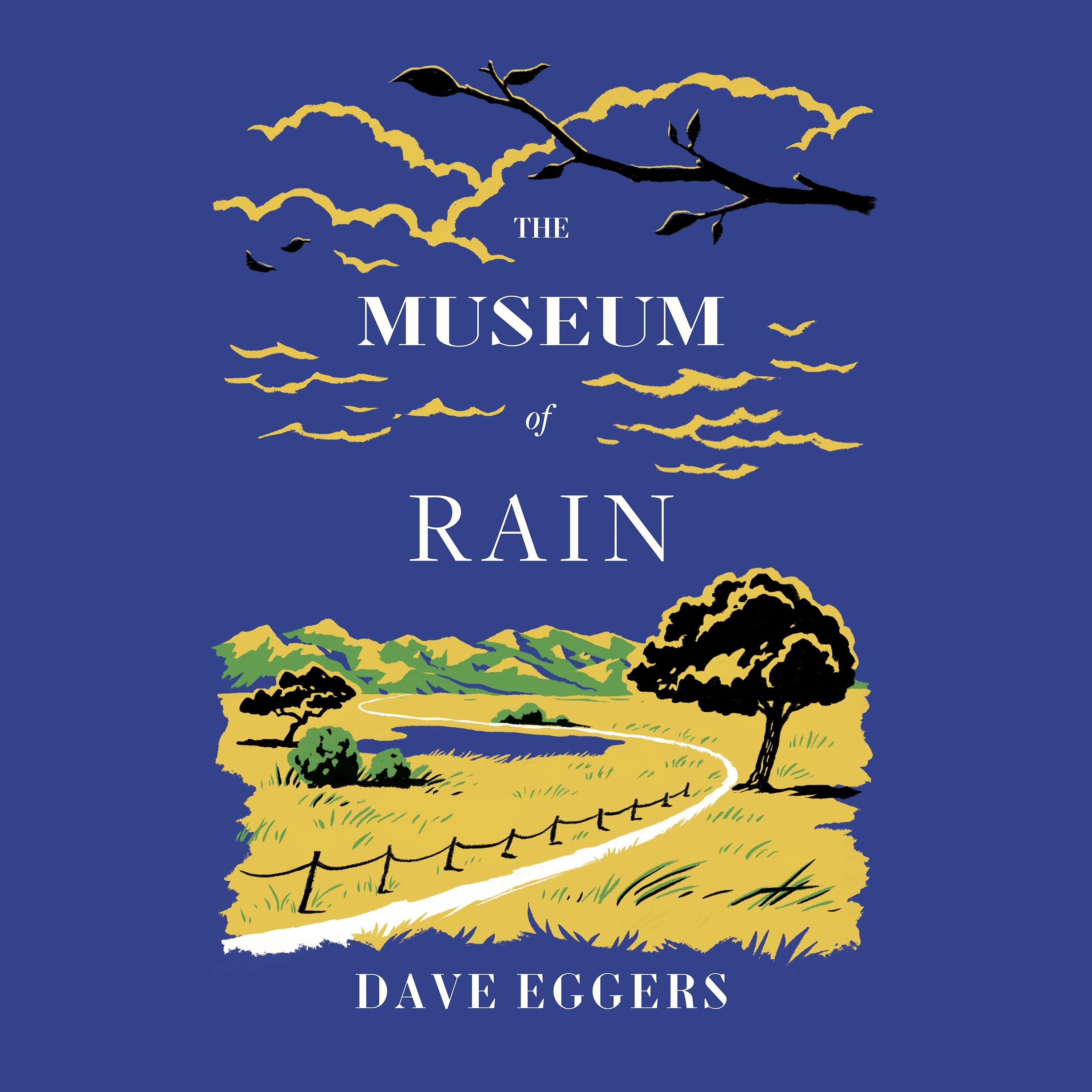 The Museum of Rain