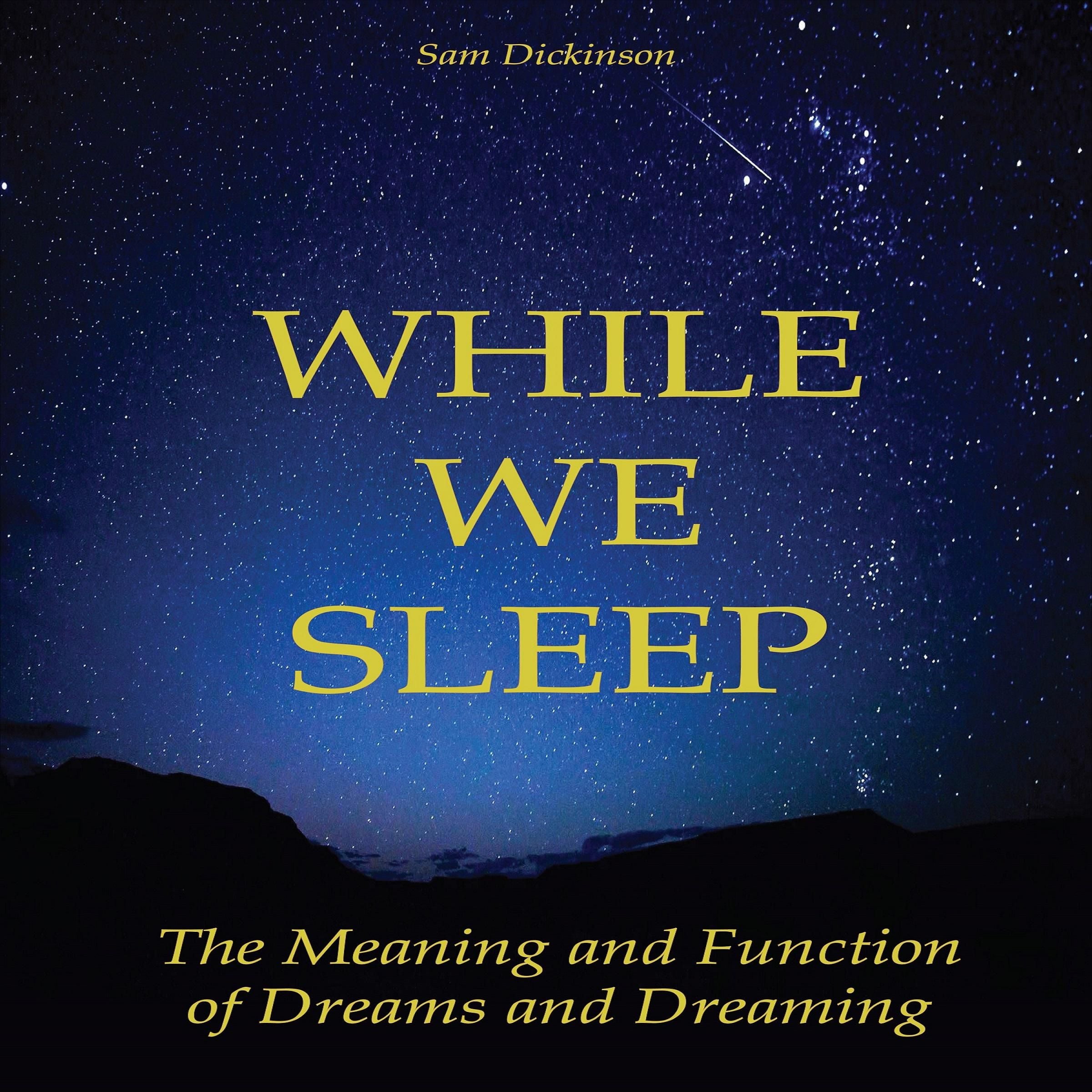 While we Sleep