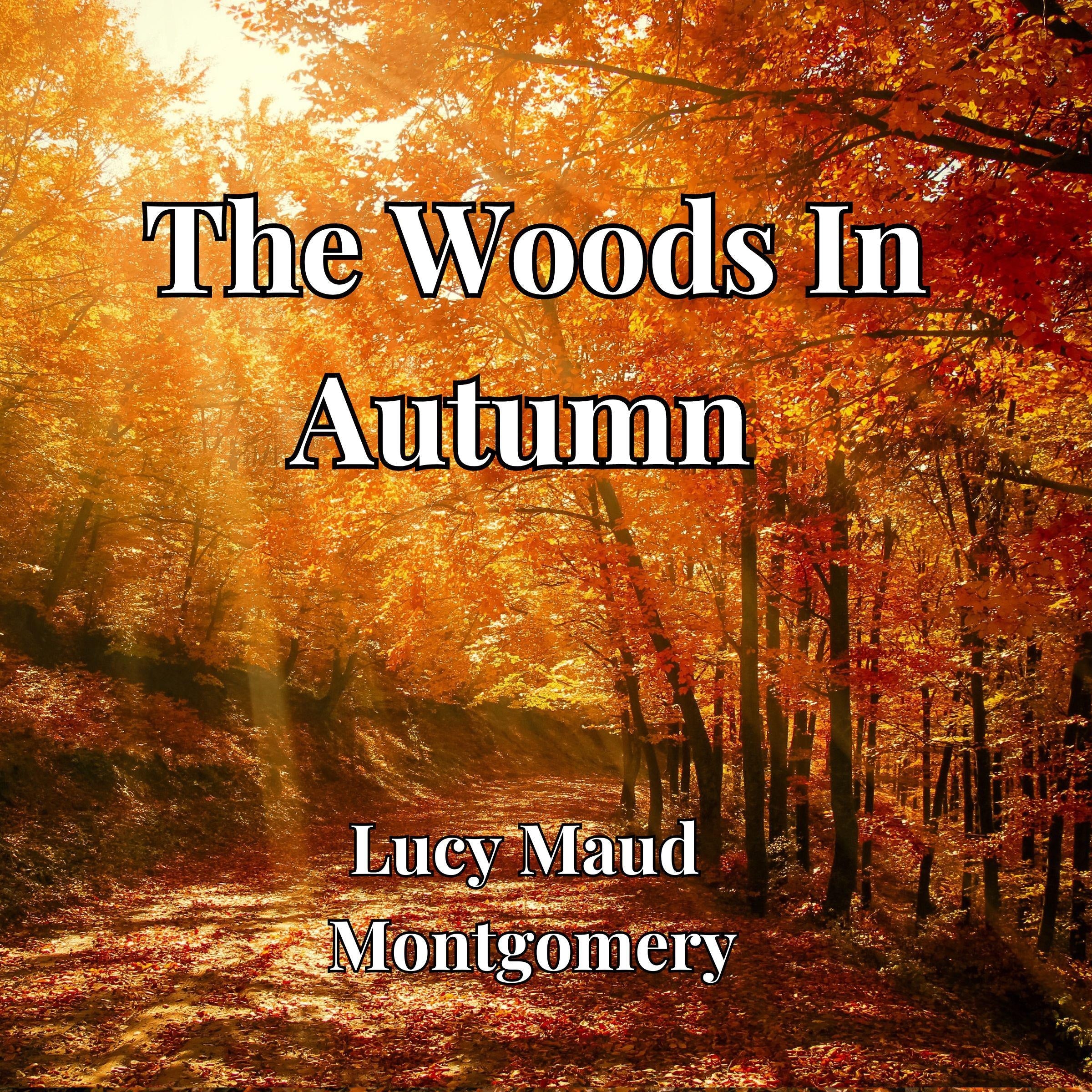 The Woods In Autumn