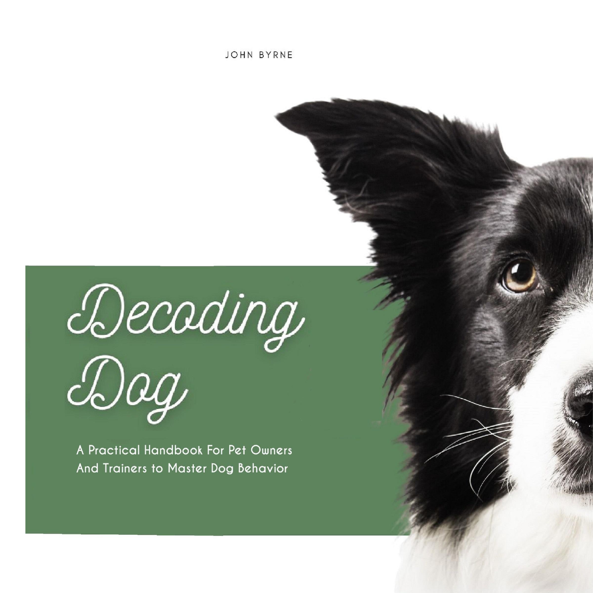 Decoding Dog