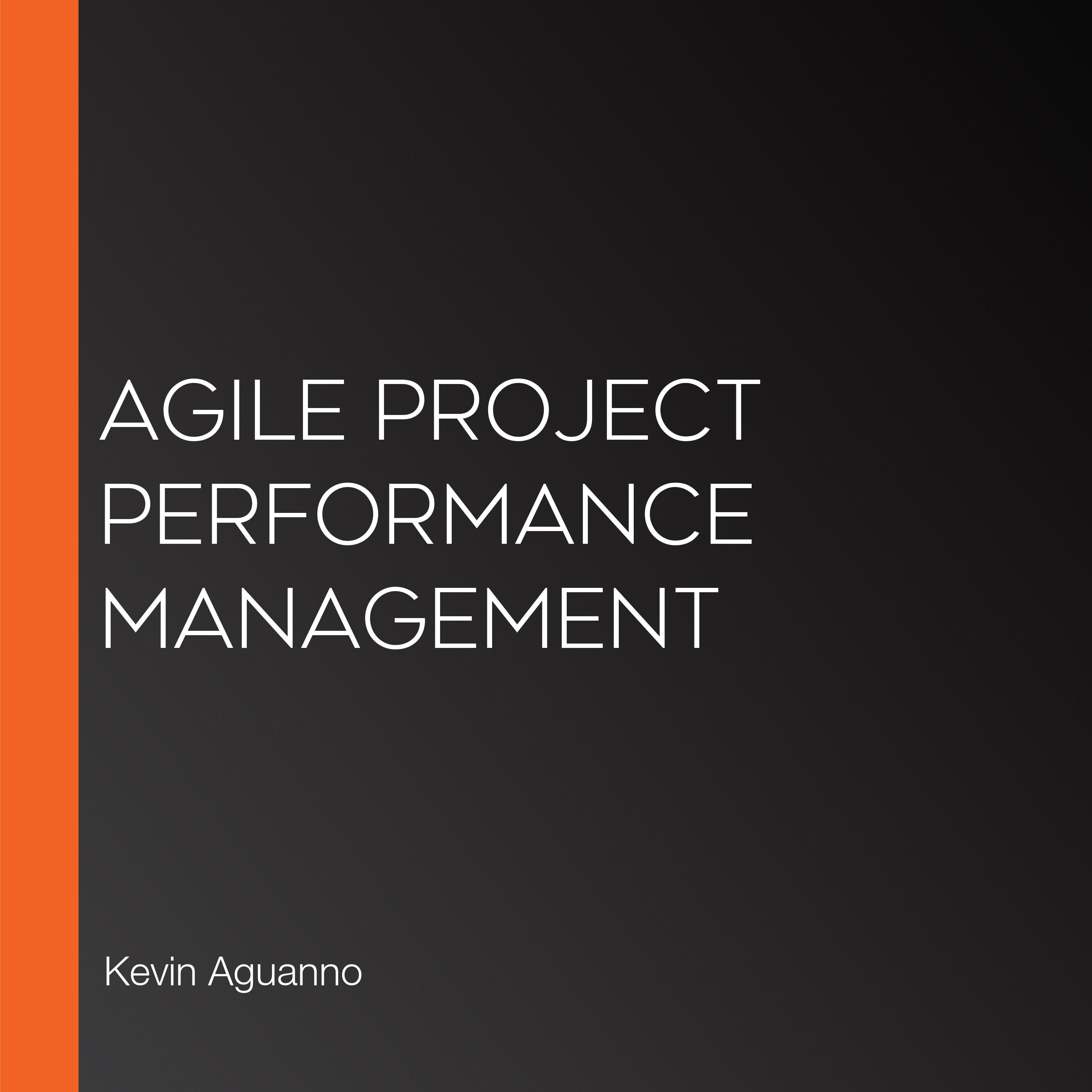 Agile Project Performance Management