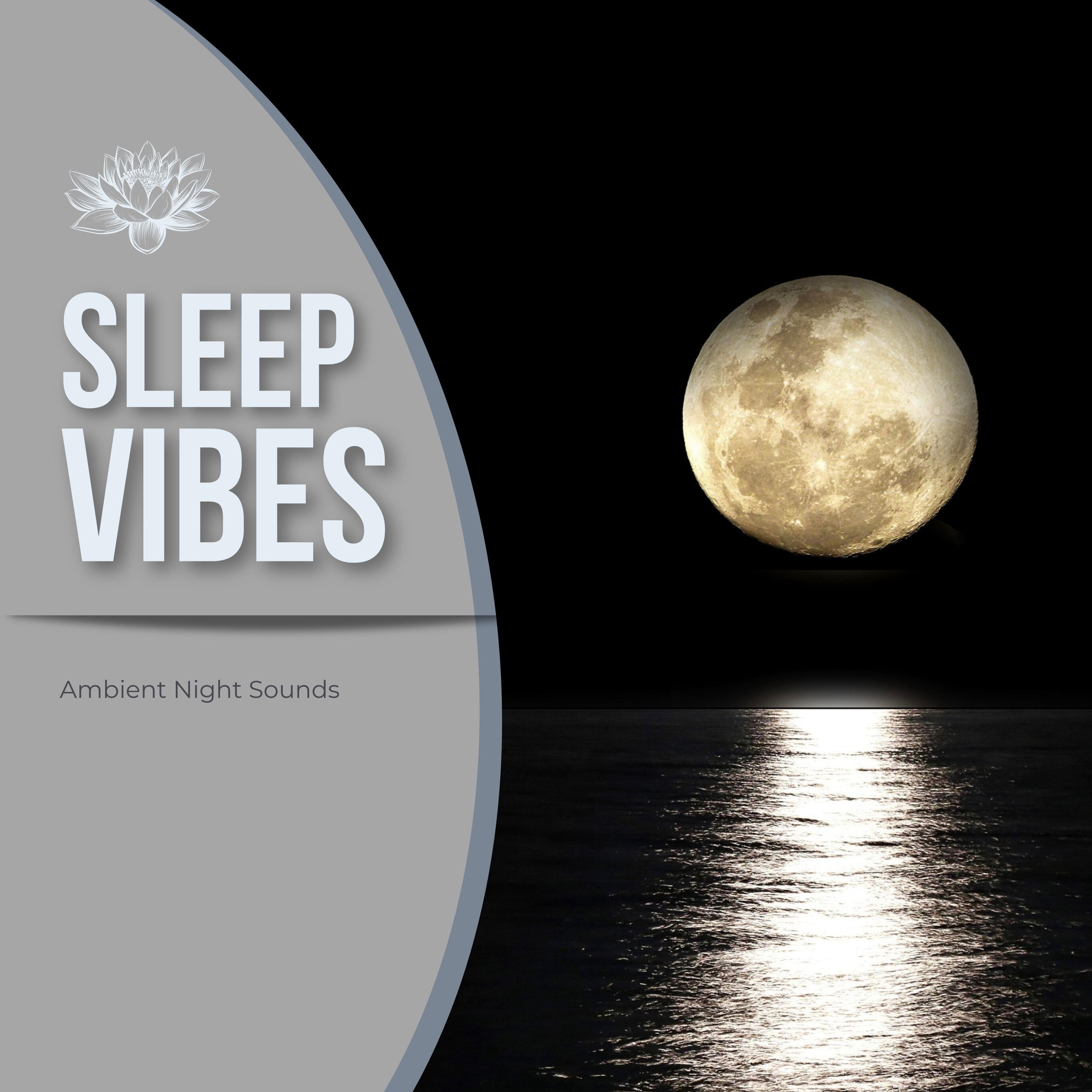 Sleep Vibes