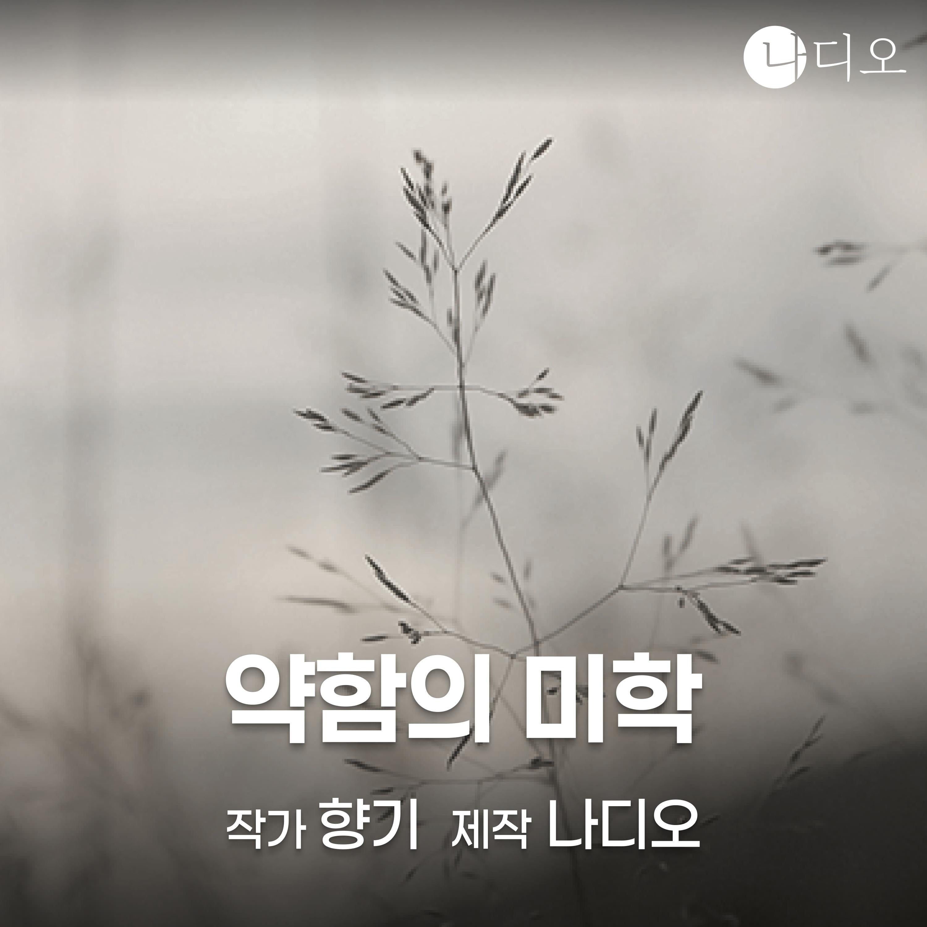약함의 미학