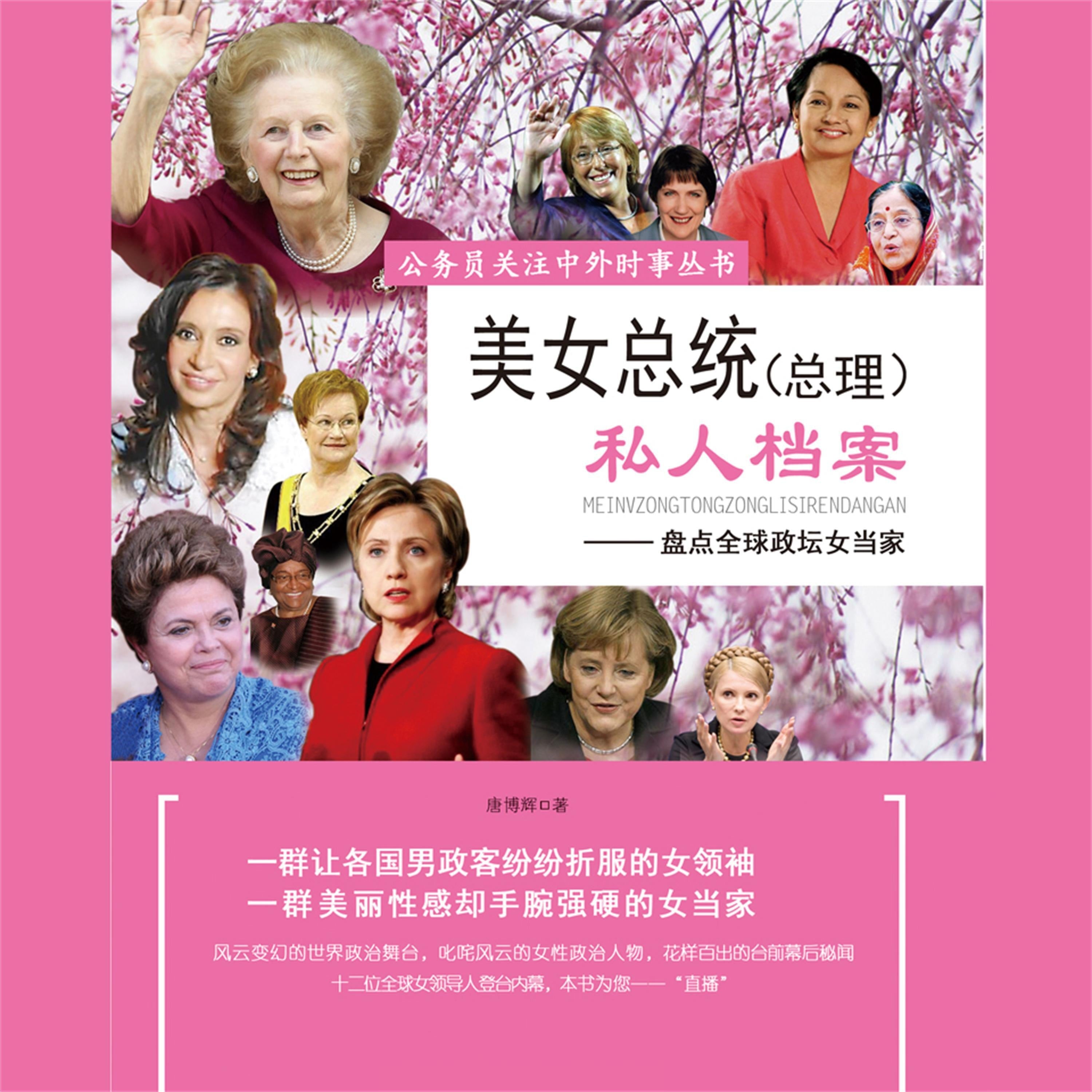 美女总统(总理)私人档案
