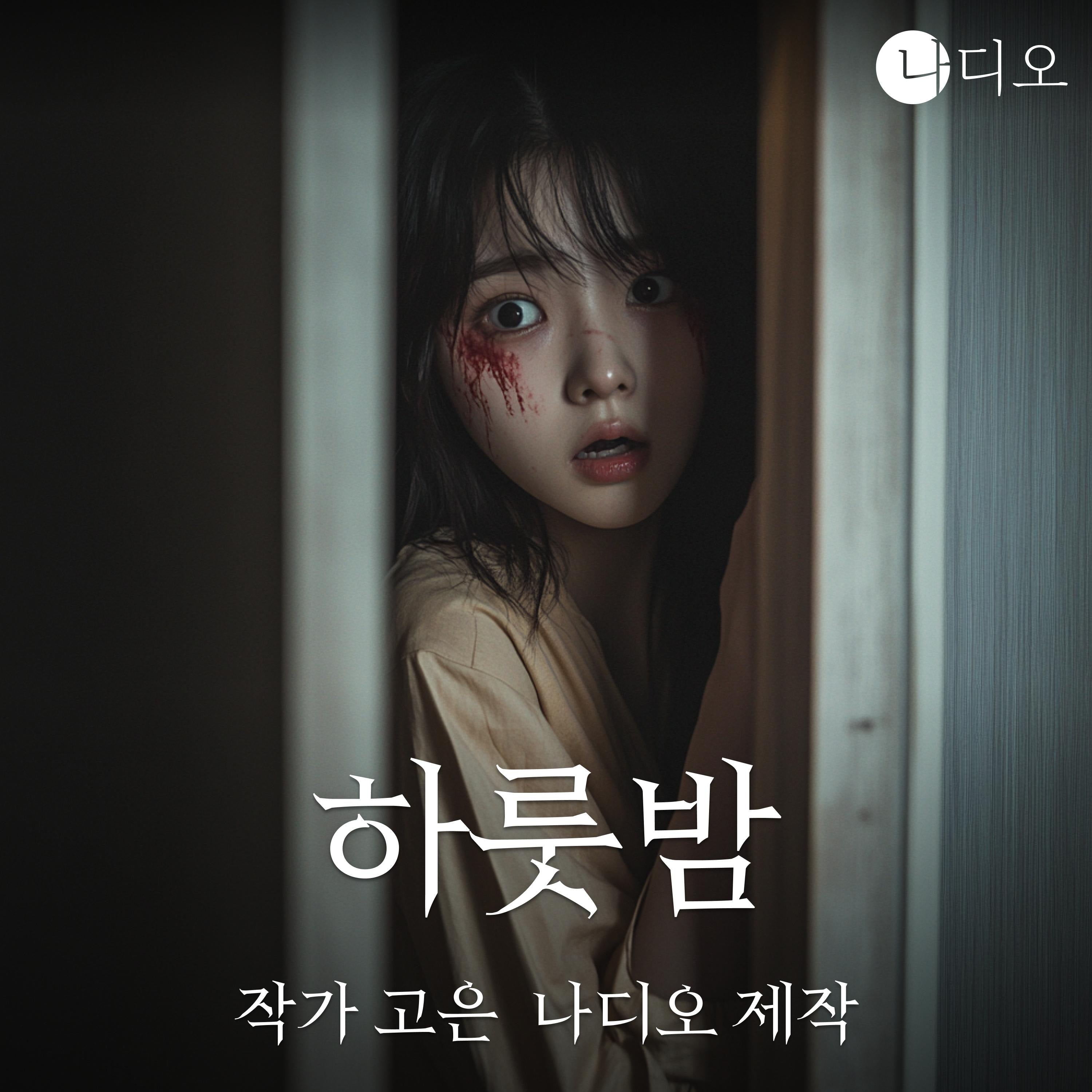 하룻밤