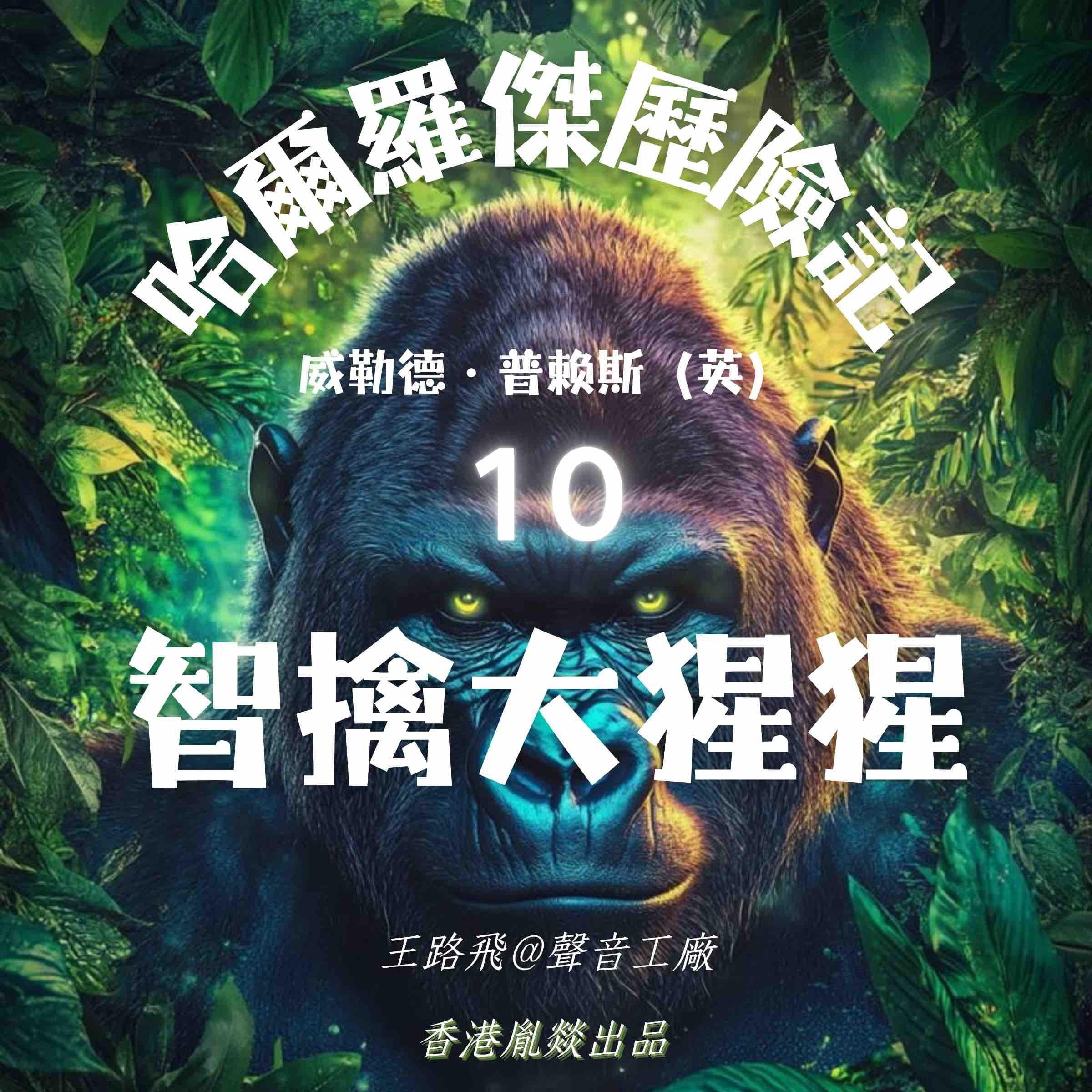 哈爾羅傑歷險記|第十部 智擒大猩猩