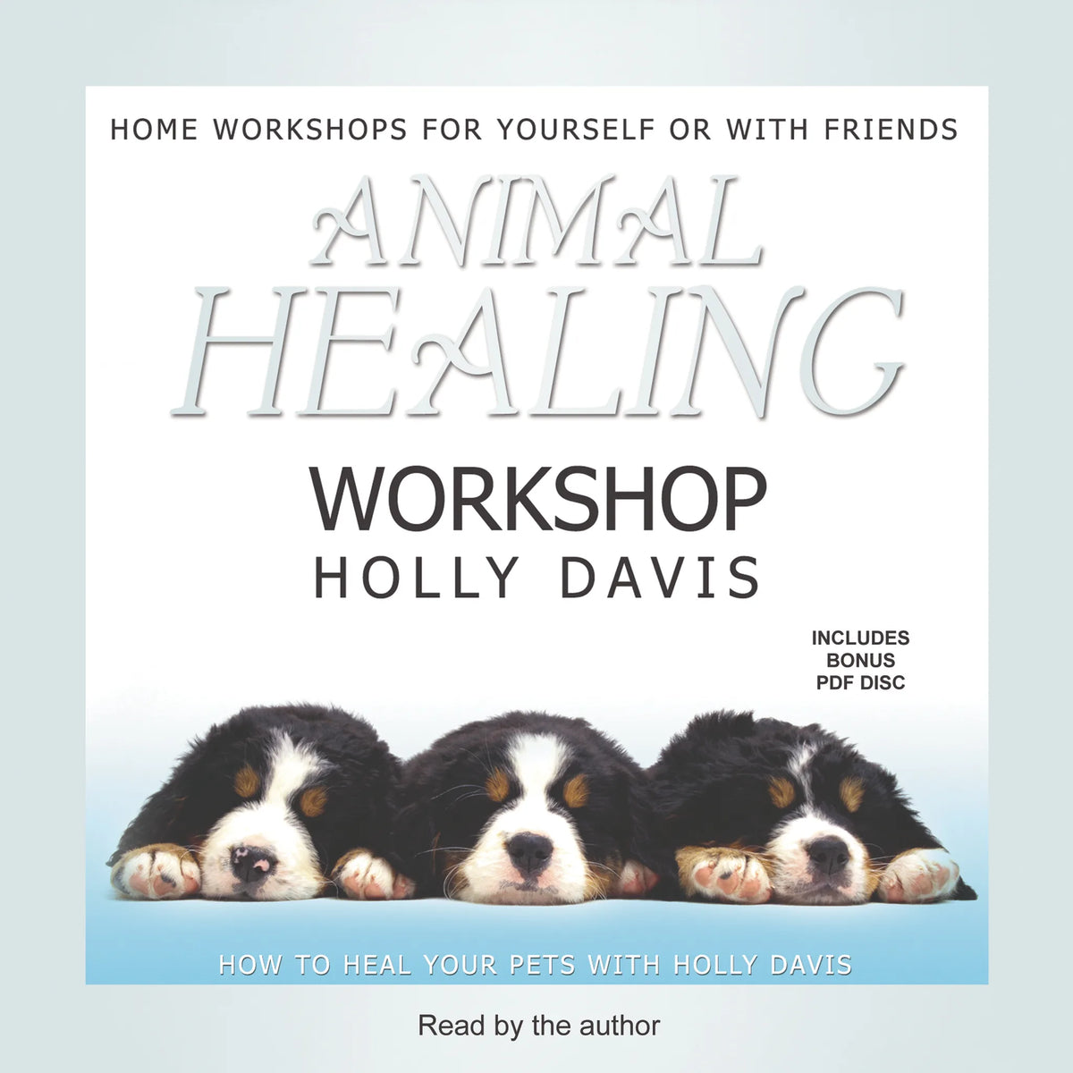 Animal Healing Workshop
