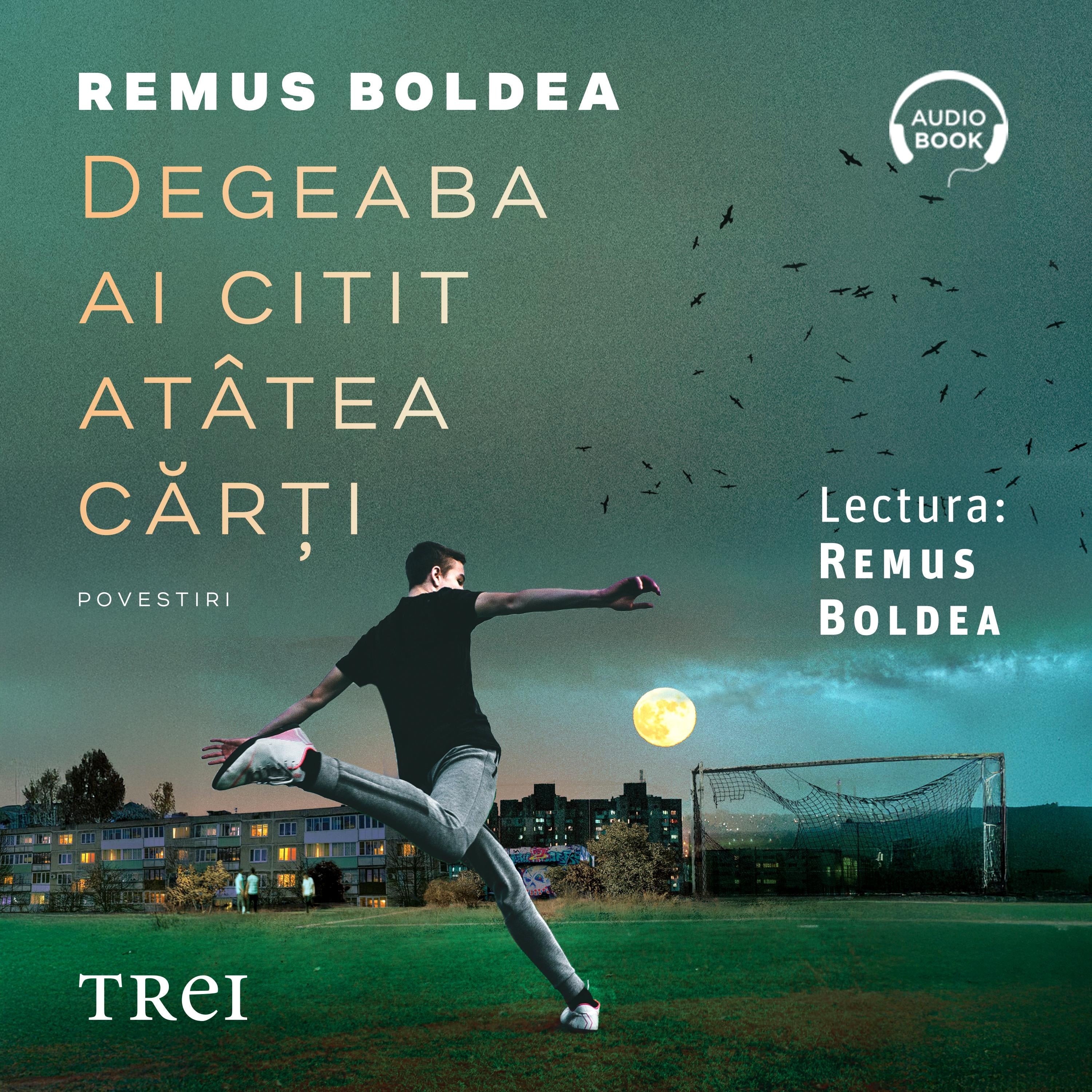Degeaba ai citit atâtea cărți