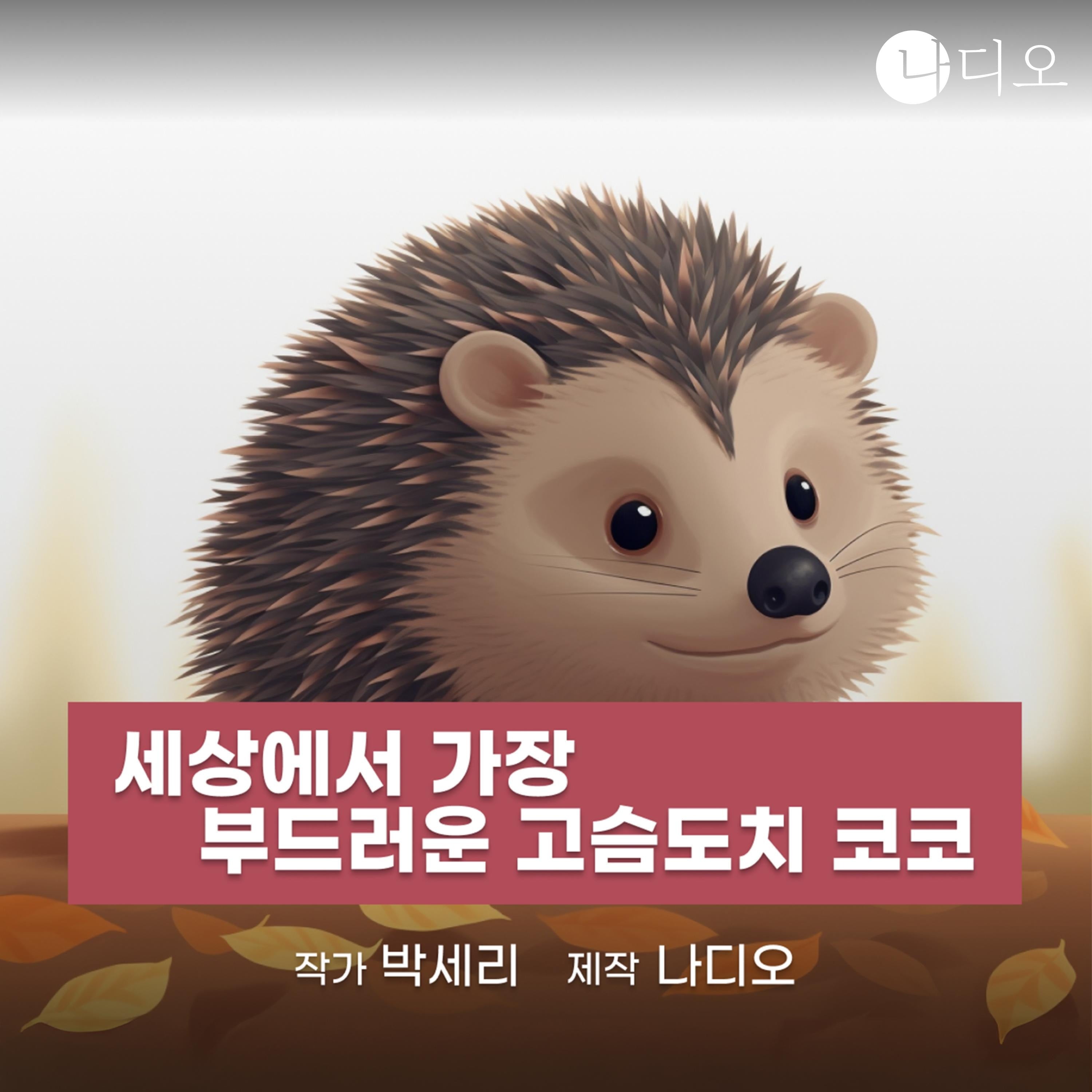 세상에서 가장 부드러운 고슴도치 코코